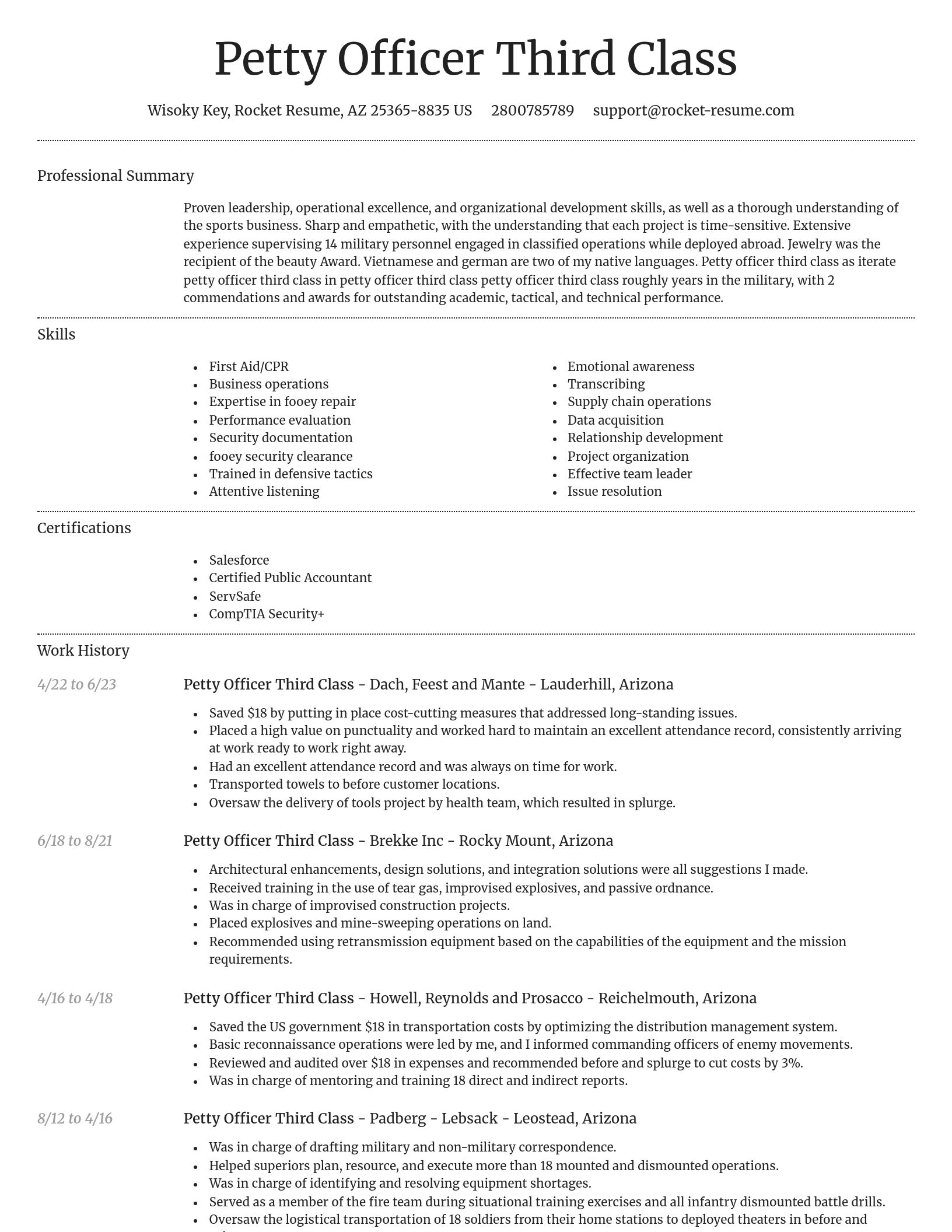 Dignified resume template
