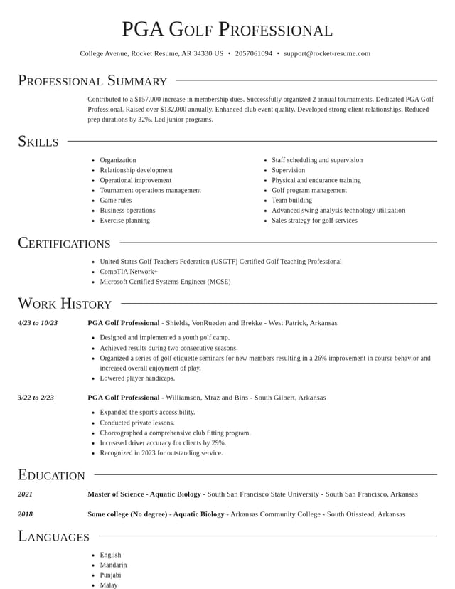 Director resume template