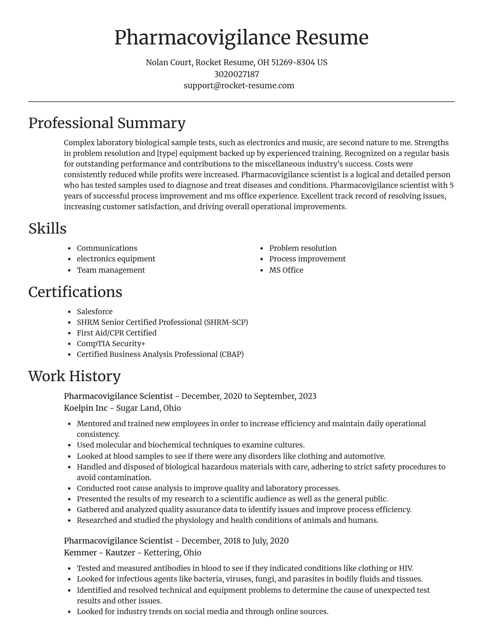 Focal Point resume template