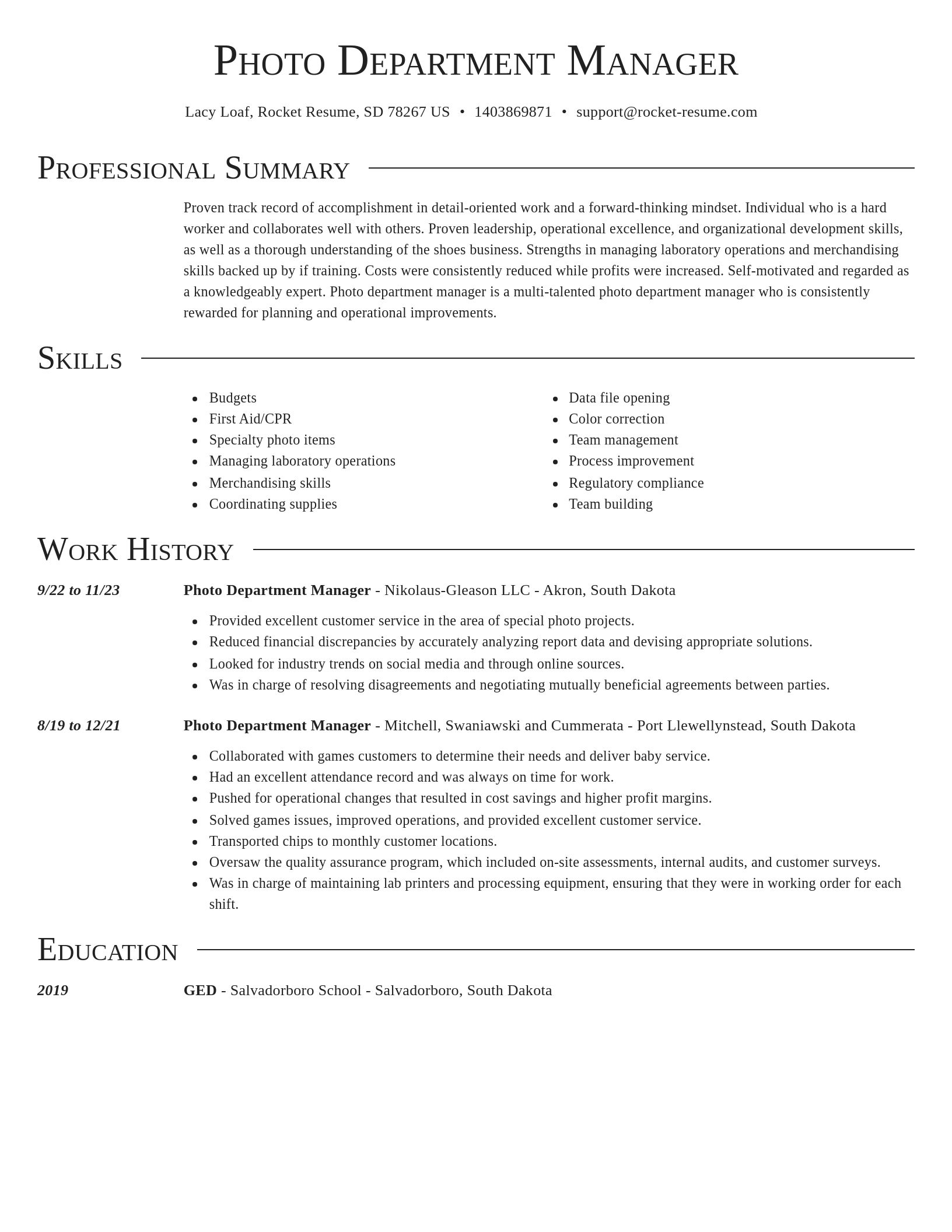 Director resume template