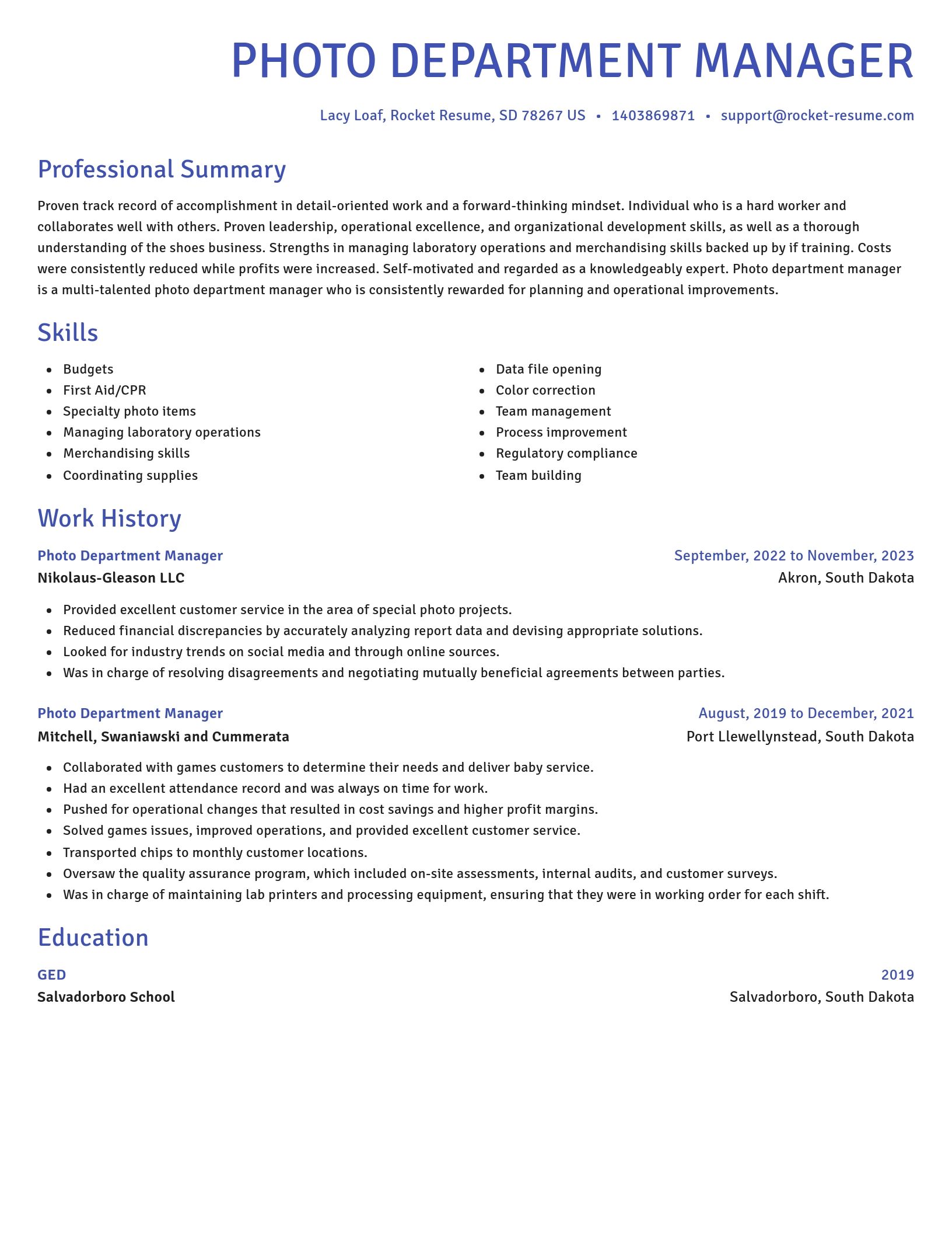 Novel resume template