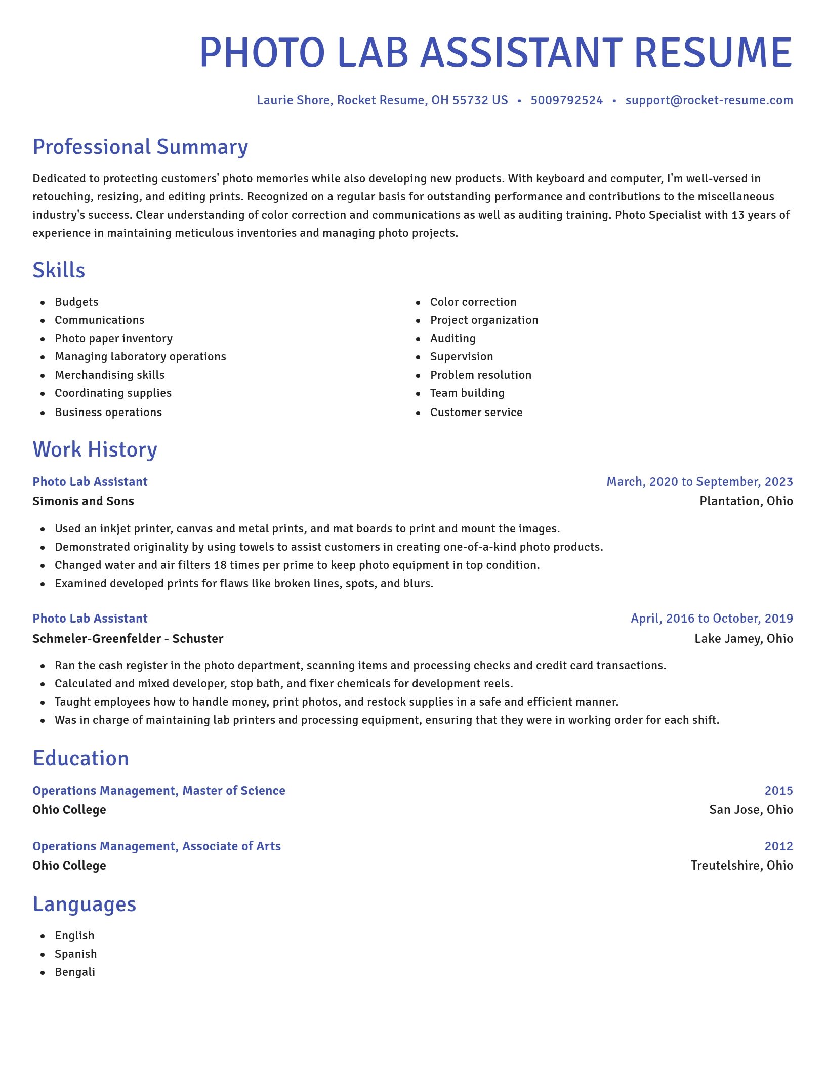 Novel resume template