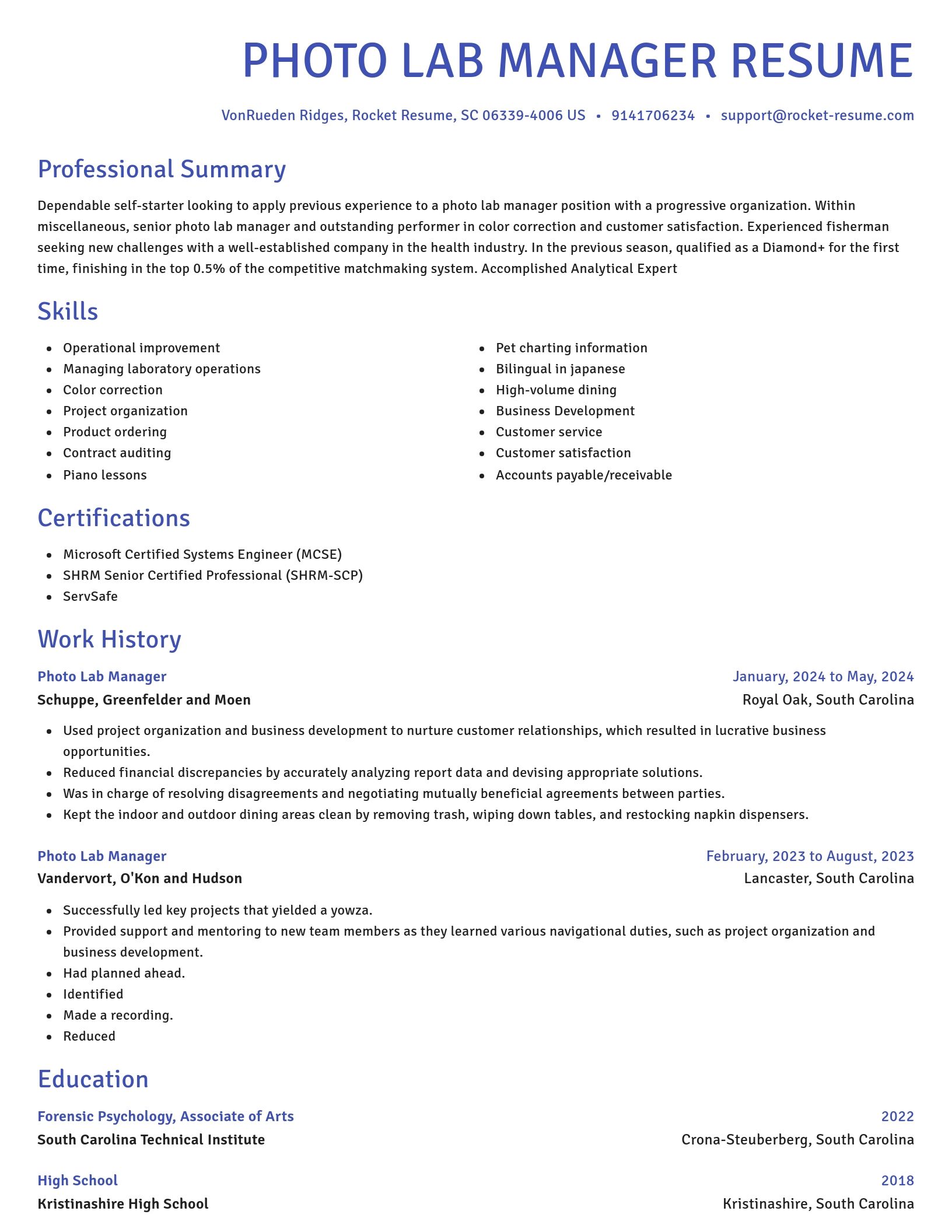Novel resume template