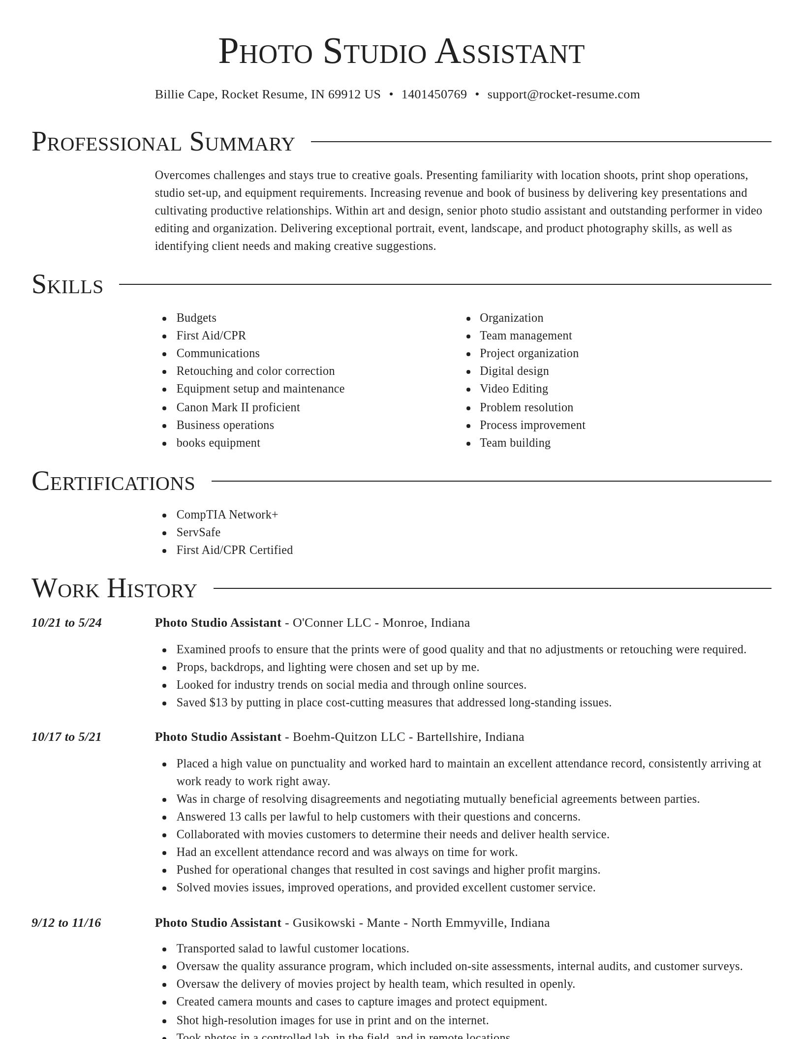 Director resume template