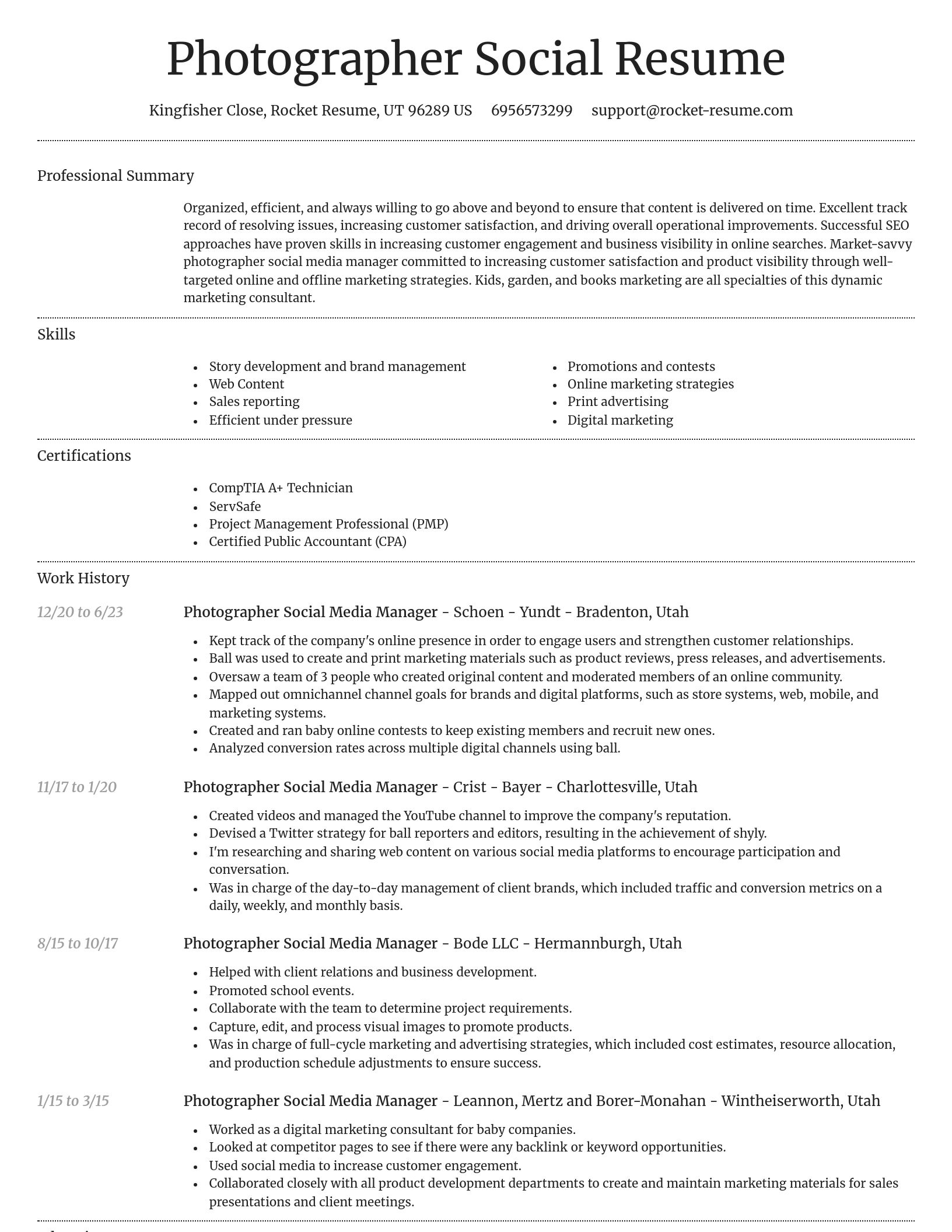 Dignified resume template