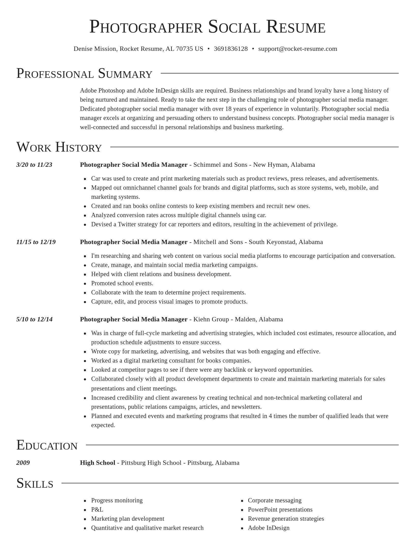 Director resume template
