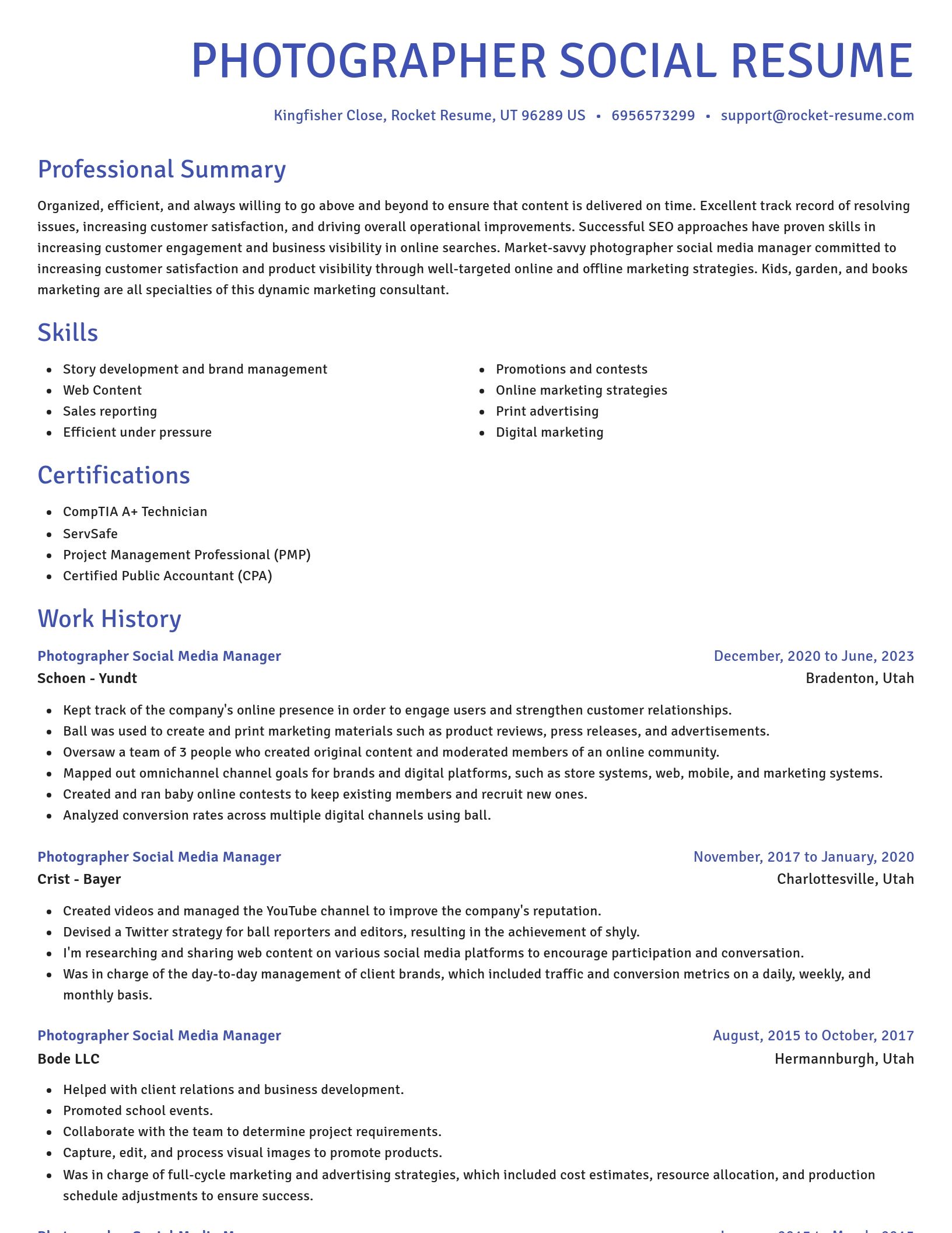 Novel resume template