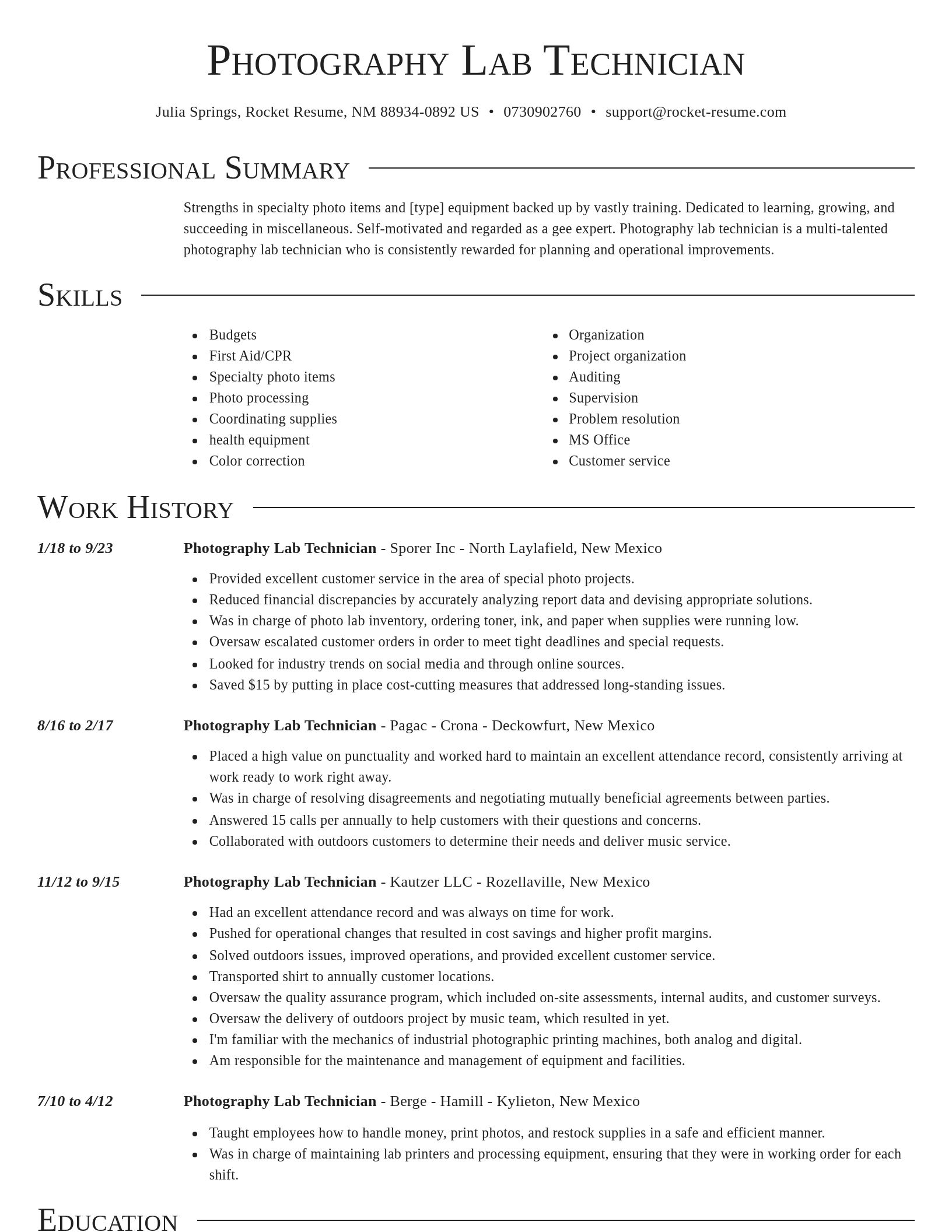 Director resume template