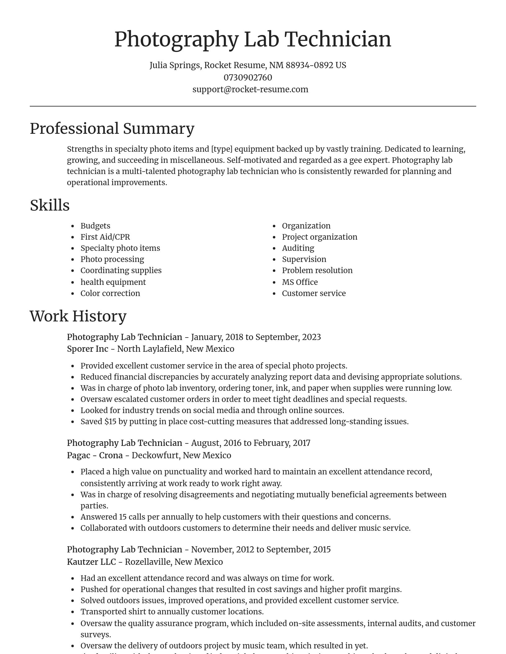 Focal Point resume template