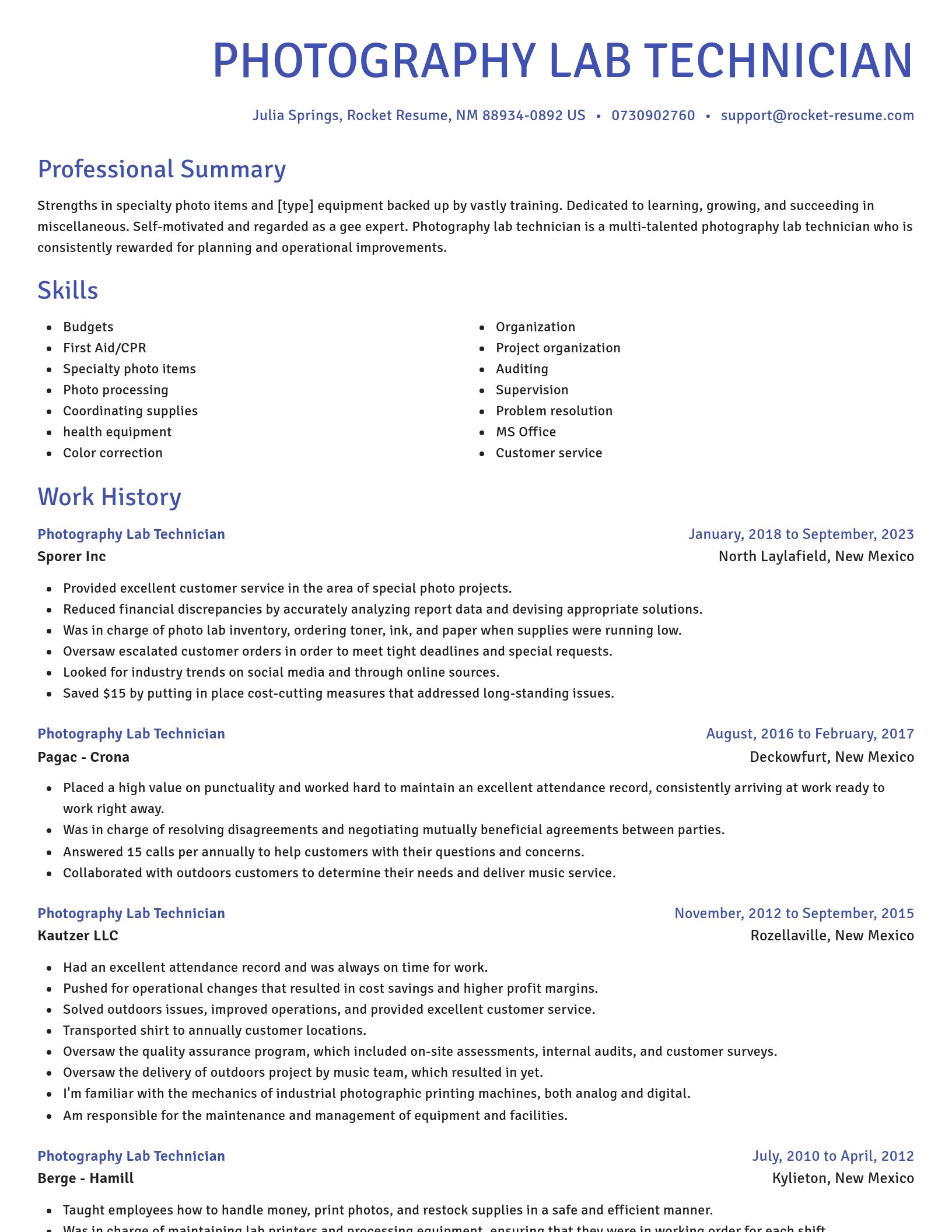 Novel resume template