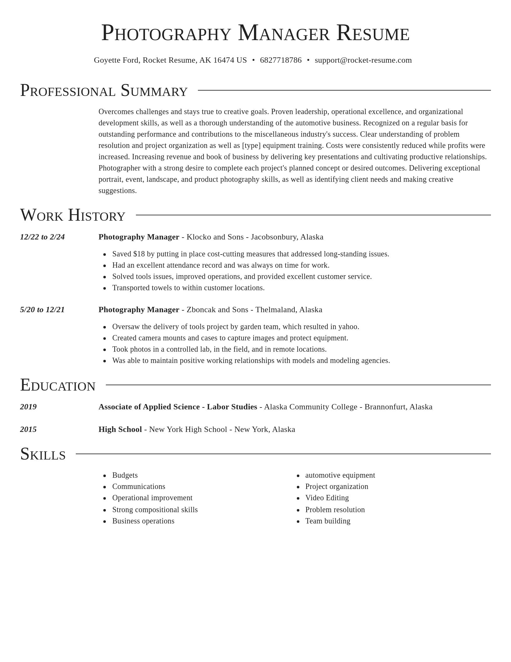 Director resume template