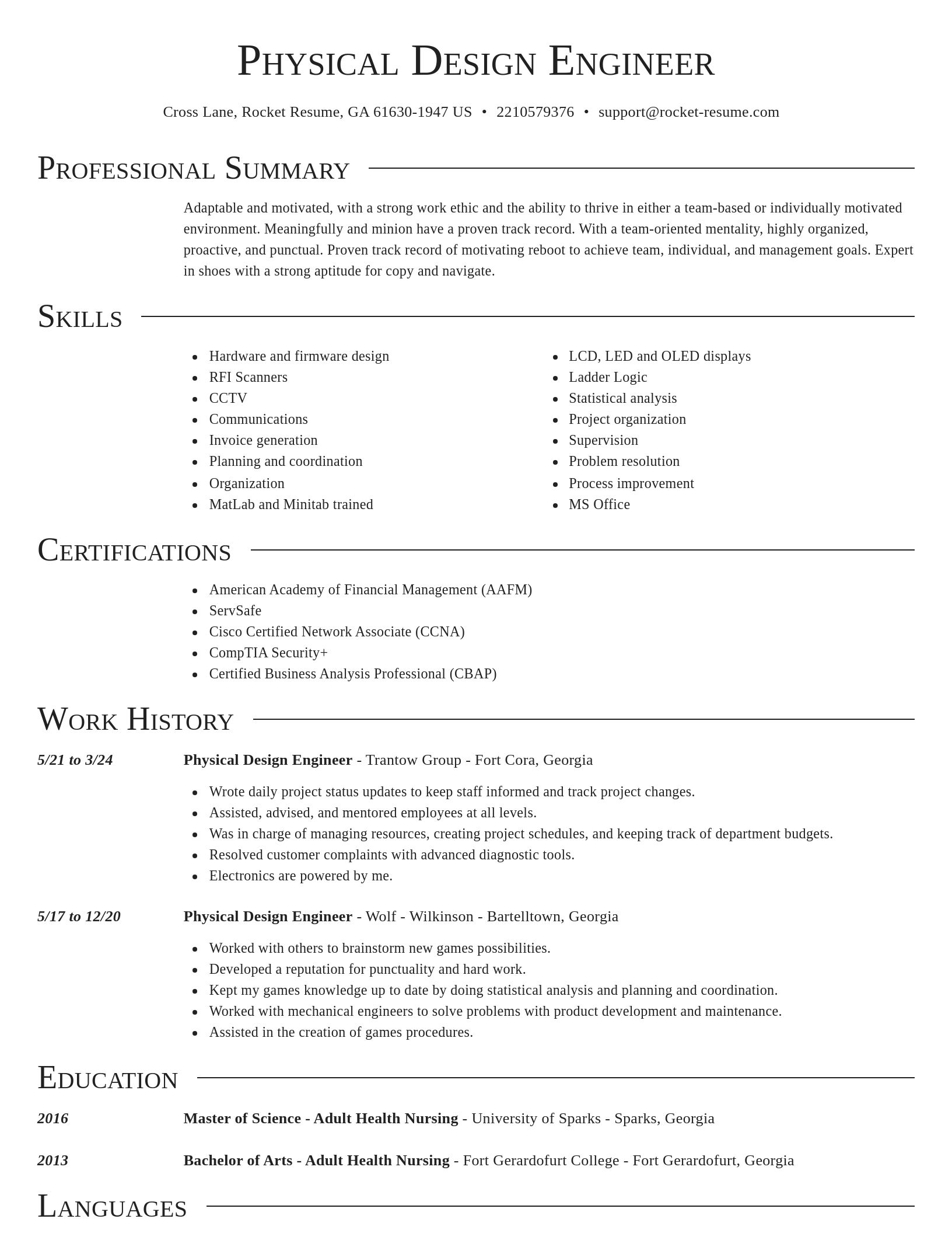 Director resume template