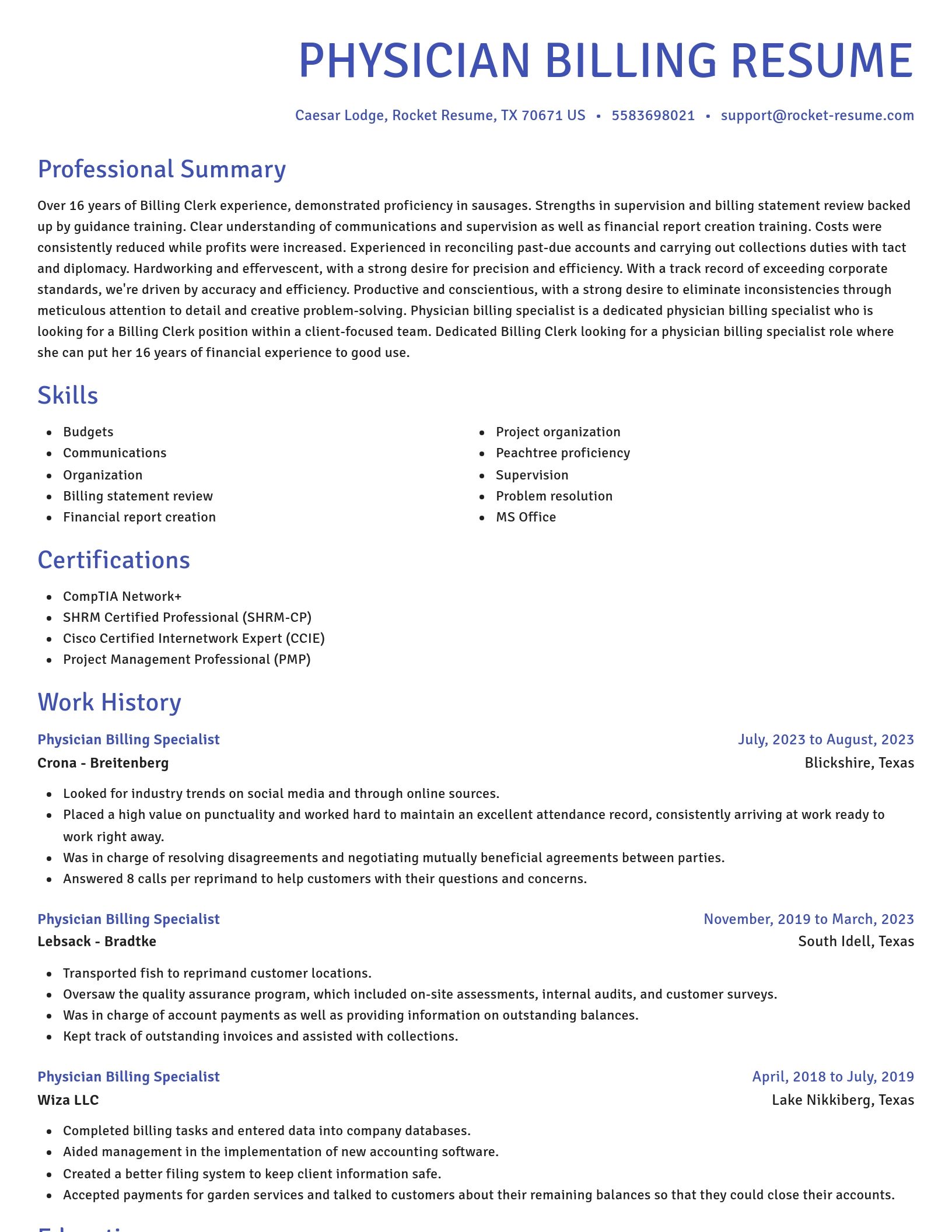 Novel resume template