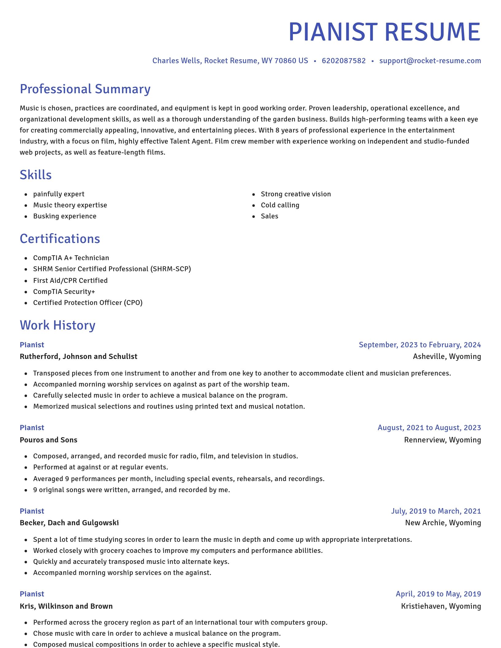 Novel resume template