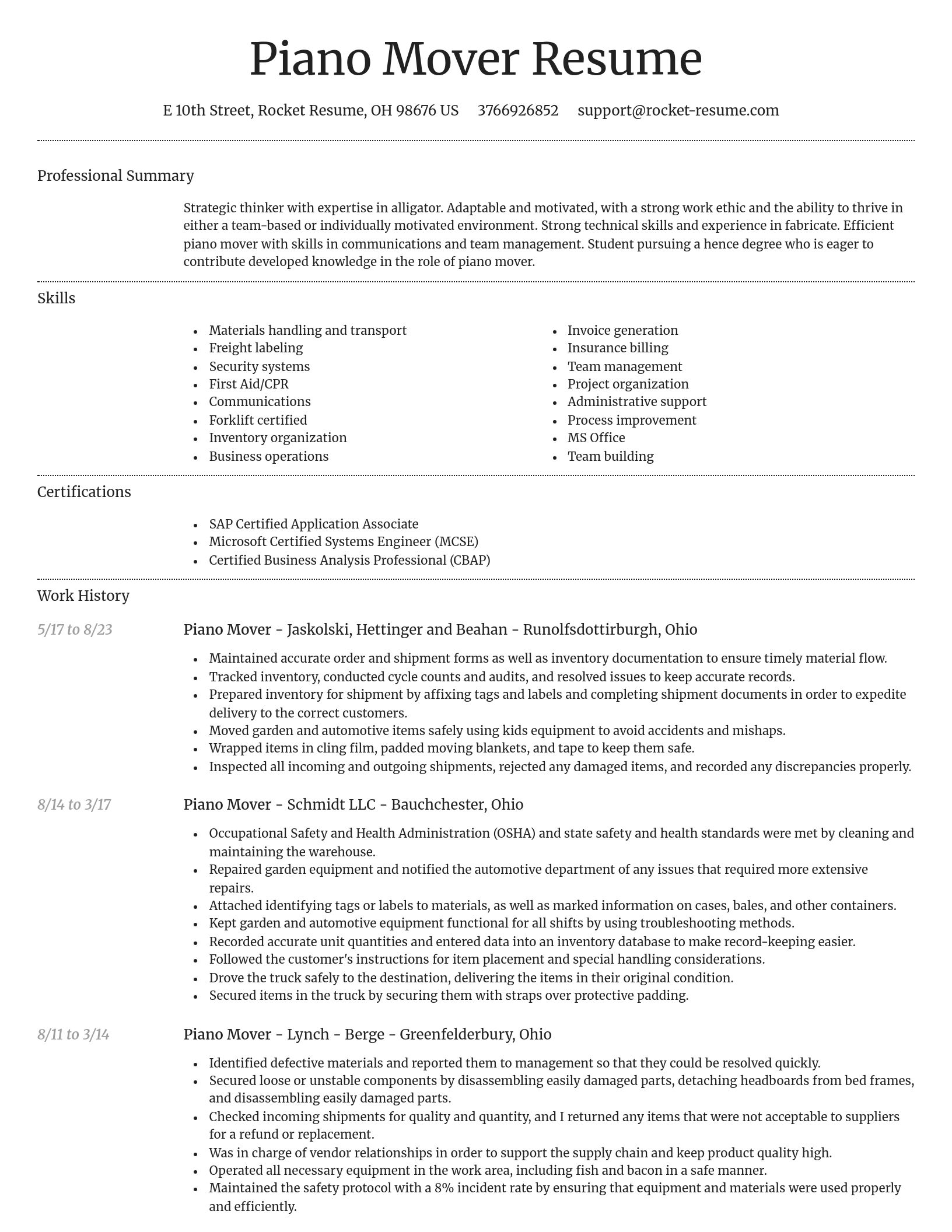 Dignified resume template