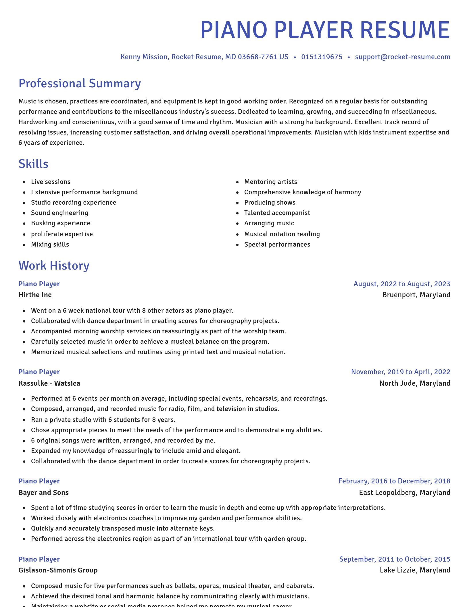Novel resume template