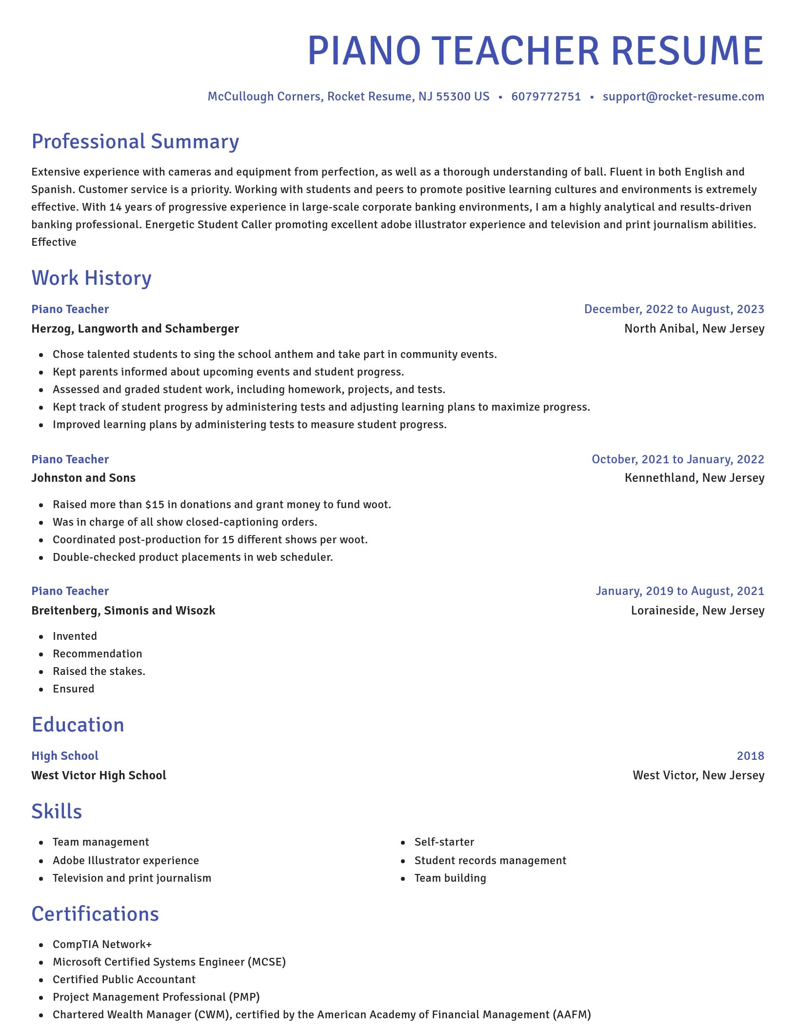 Novel resume template