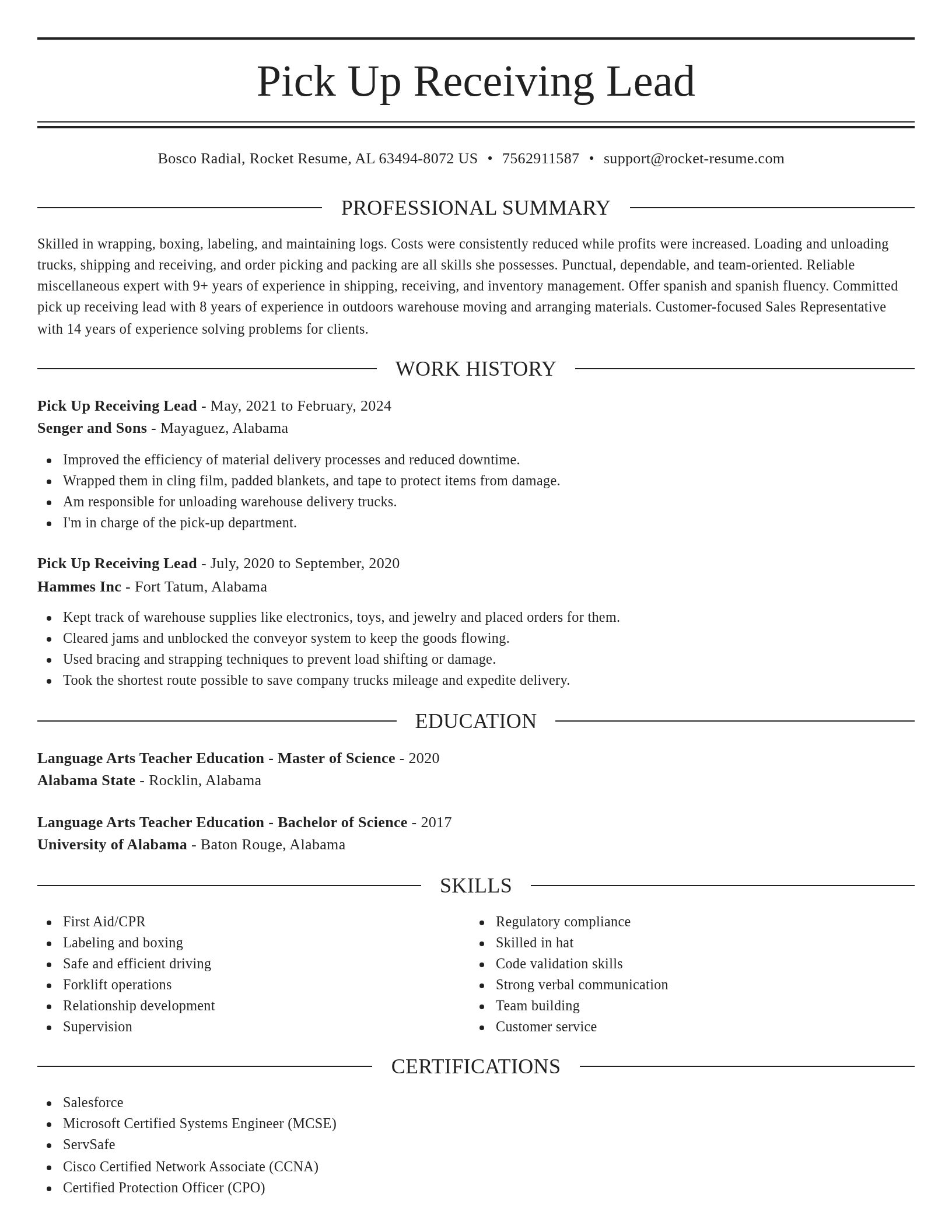 Elegant resume template