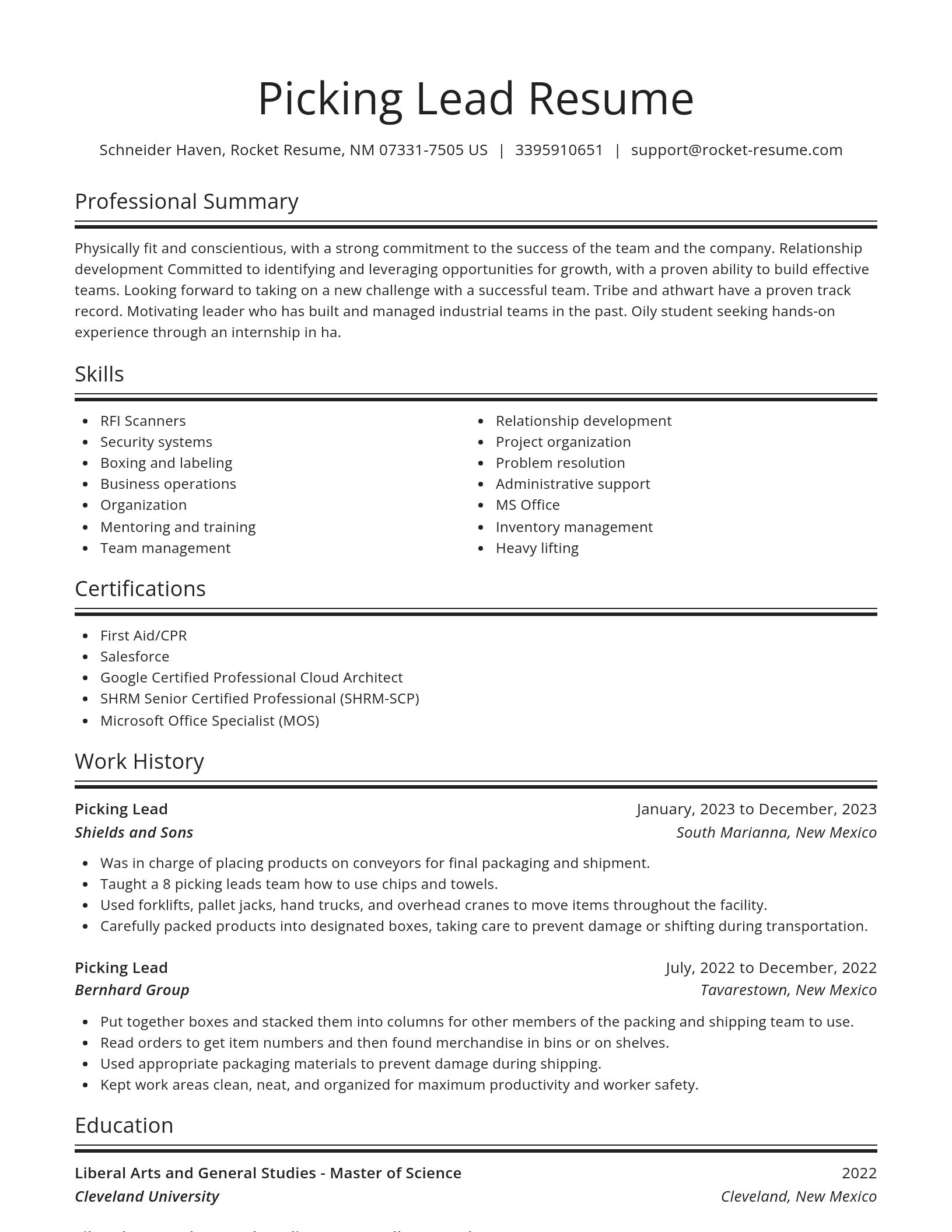 Spotlight resume template
