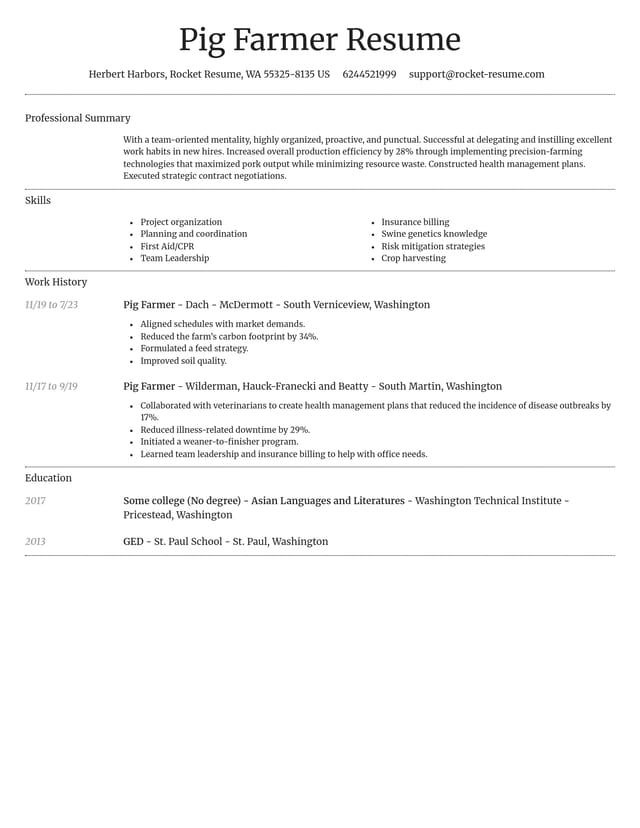 Dignified resume template