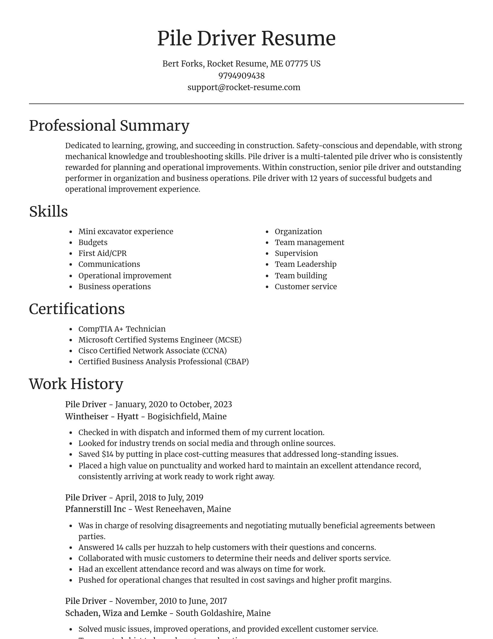 Focal Point resume template