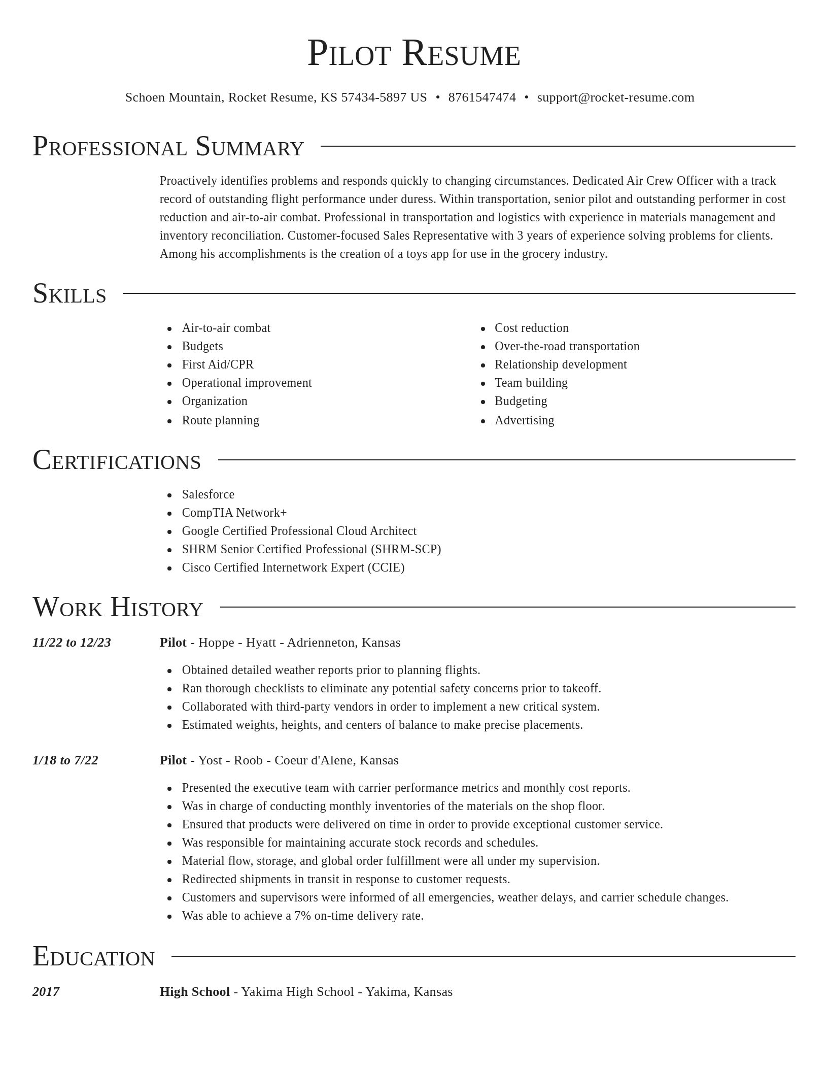 Director resume template