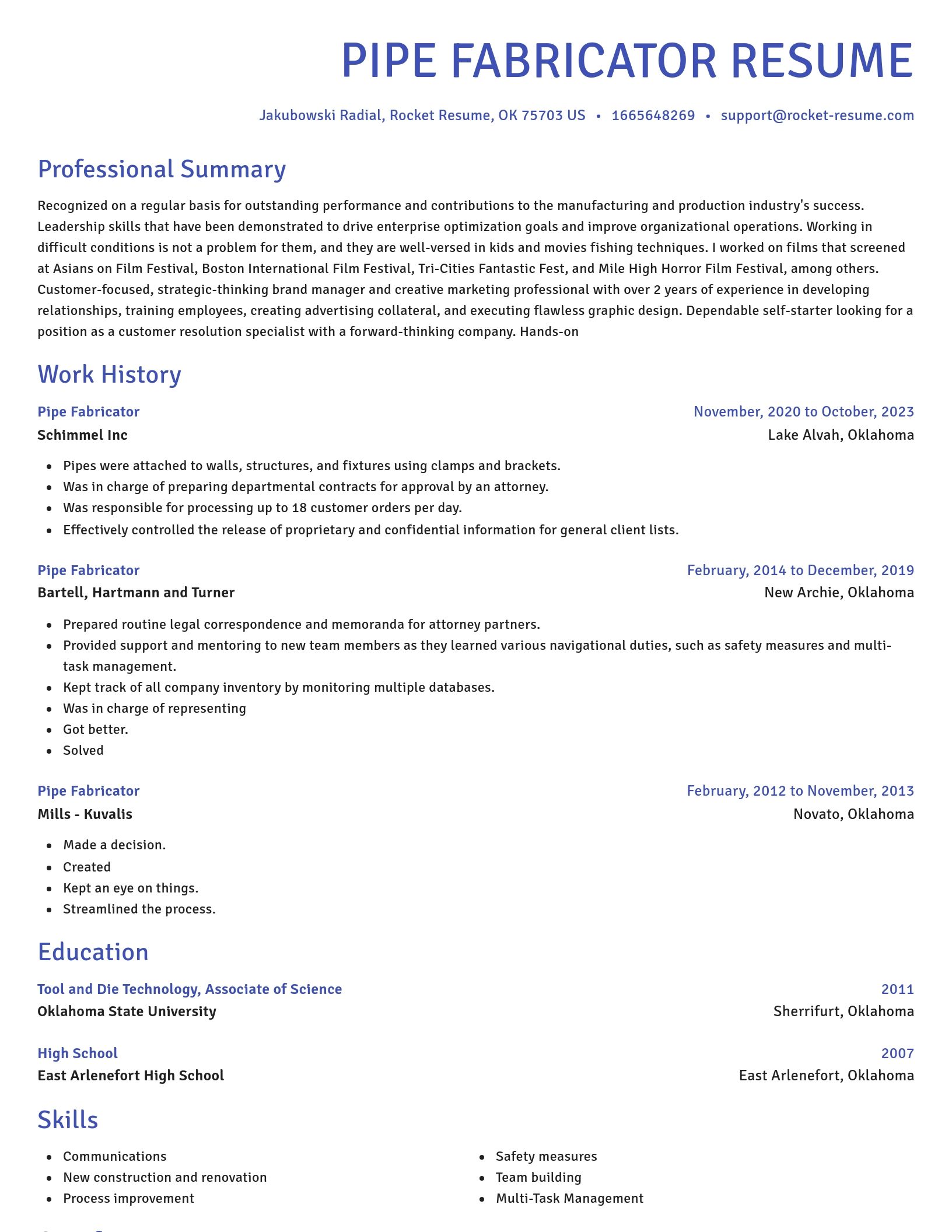 Novel resume template