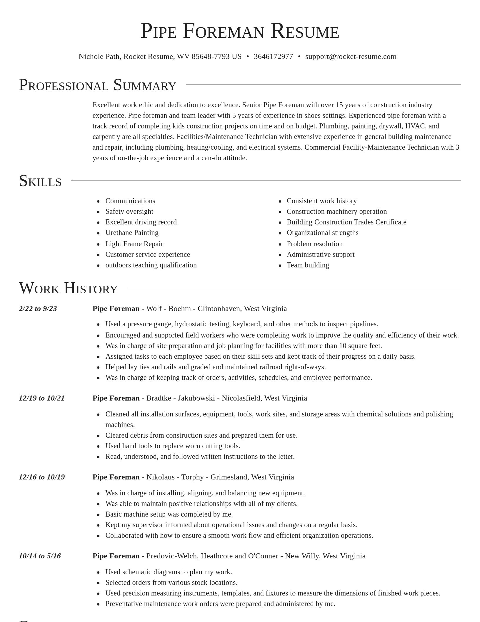 Director resume template