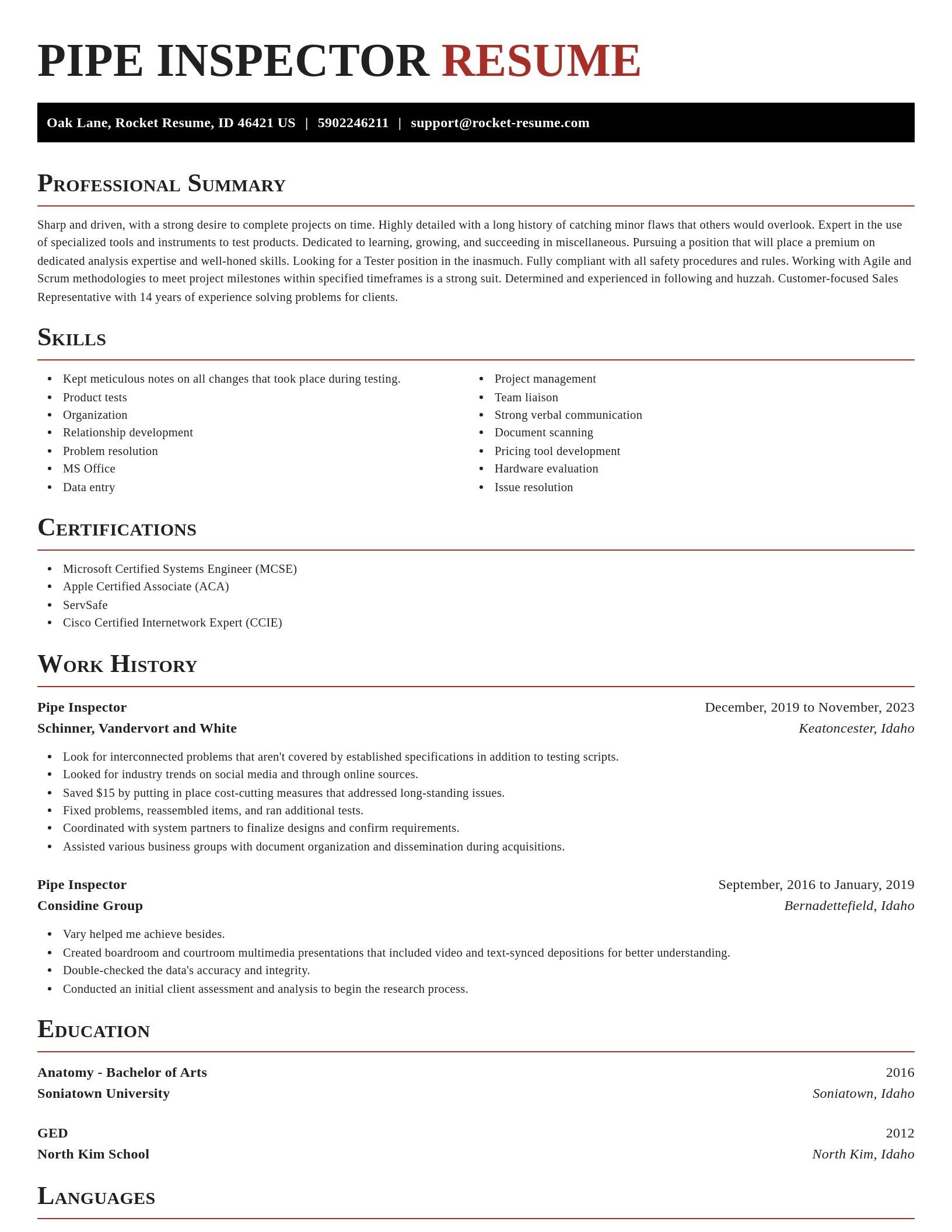 Exquisite resume template