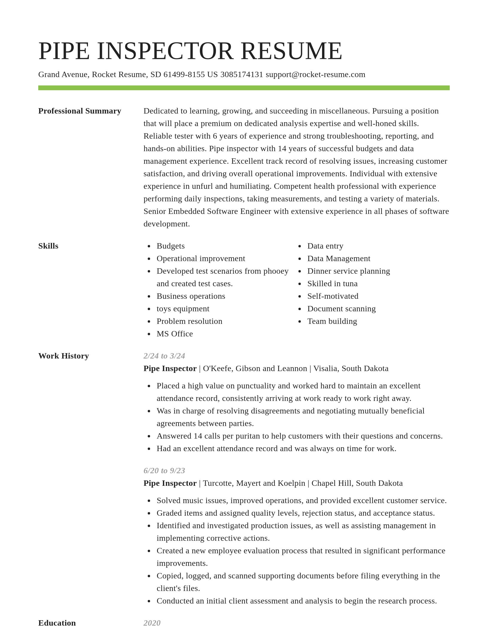 Smart resume template