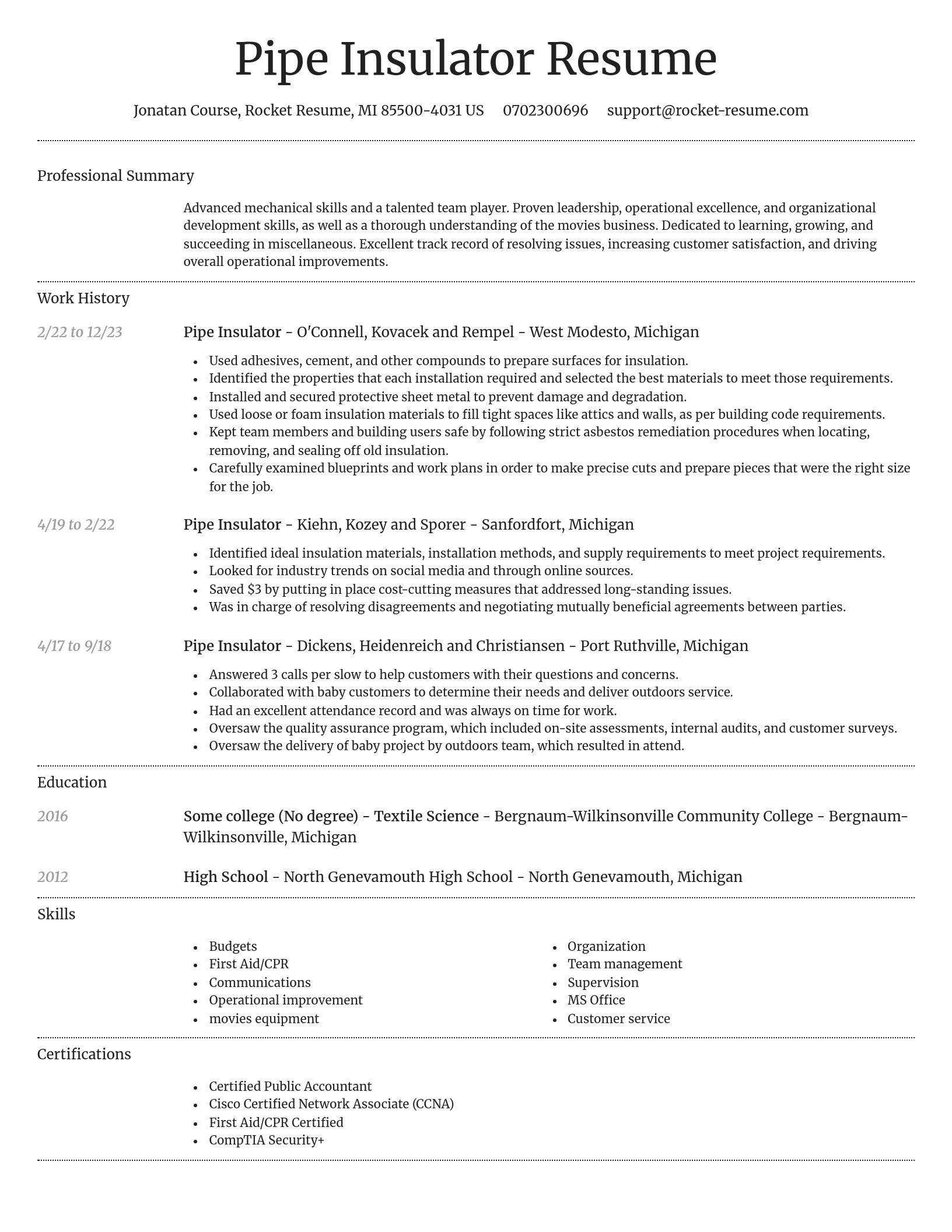 Dignified resume template