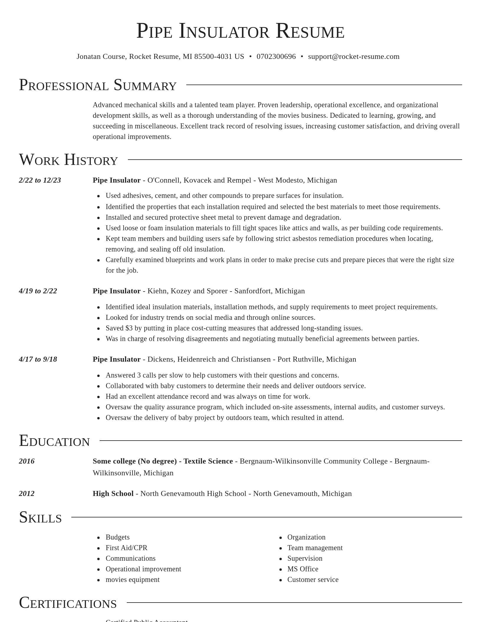Director resume template