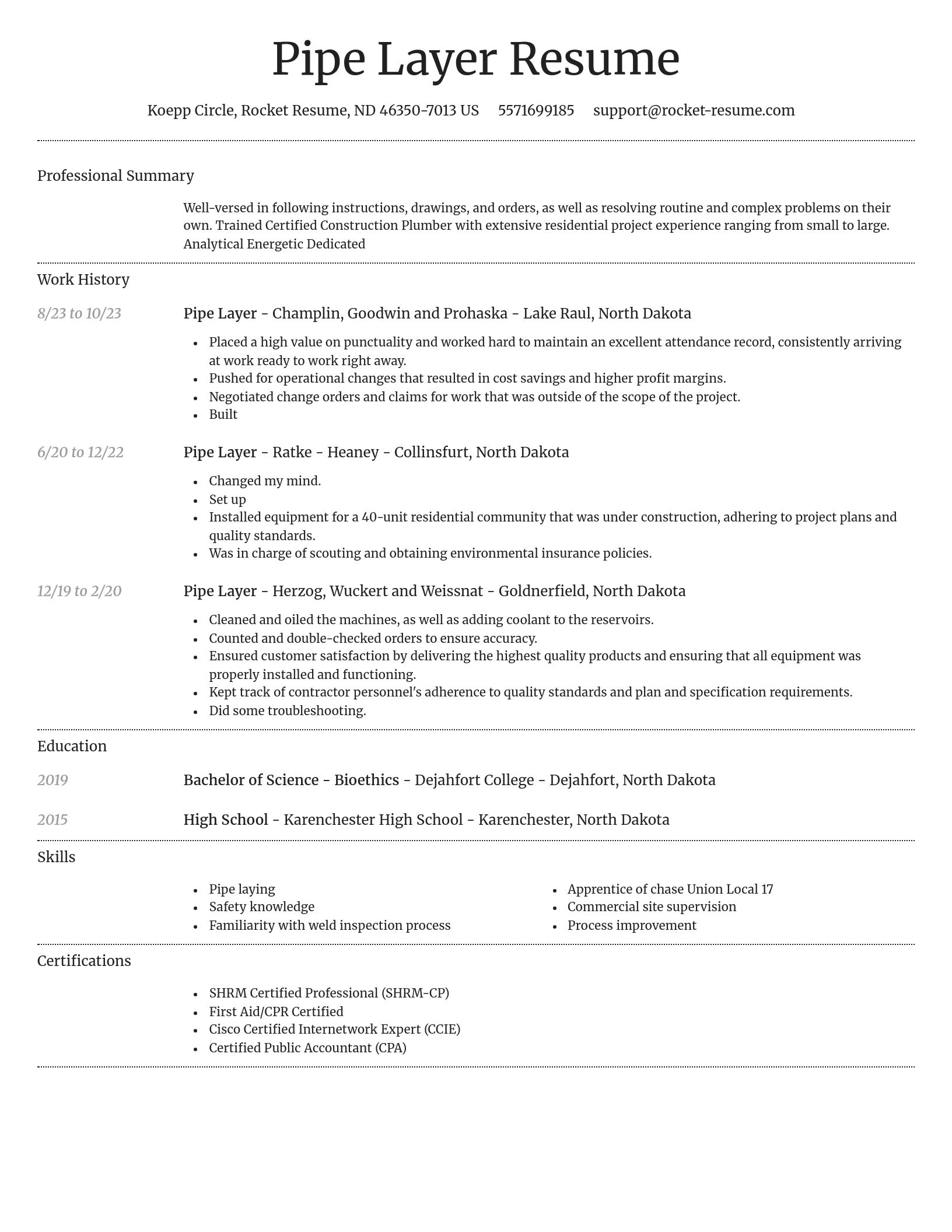 Dignified resume template