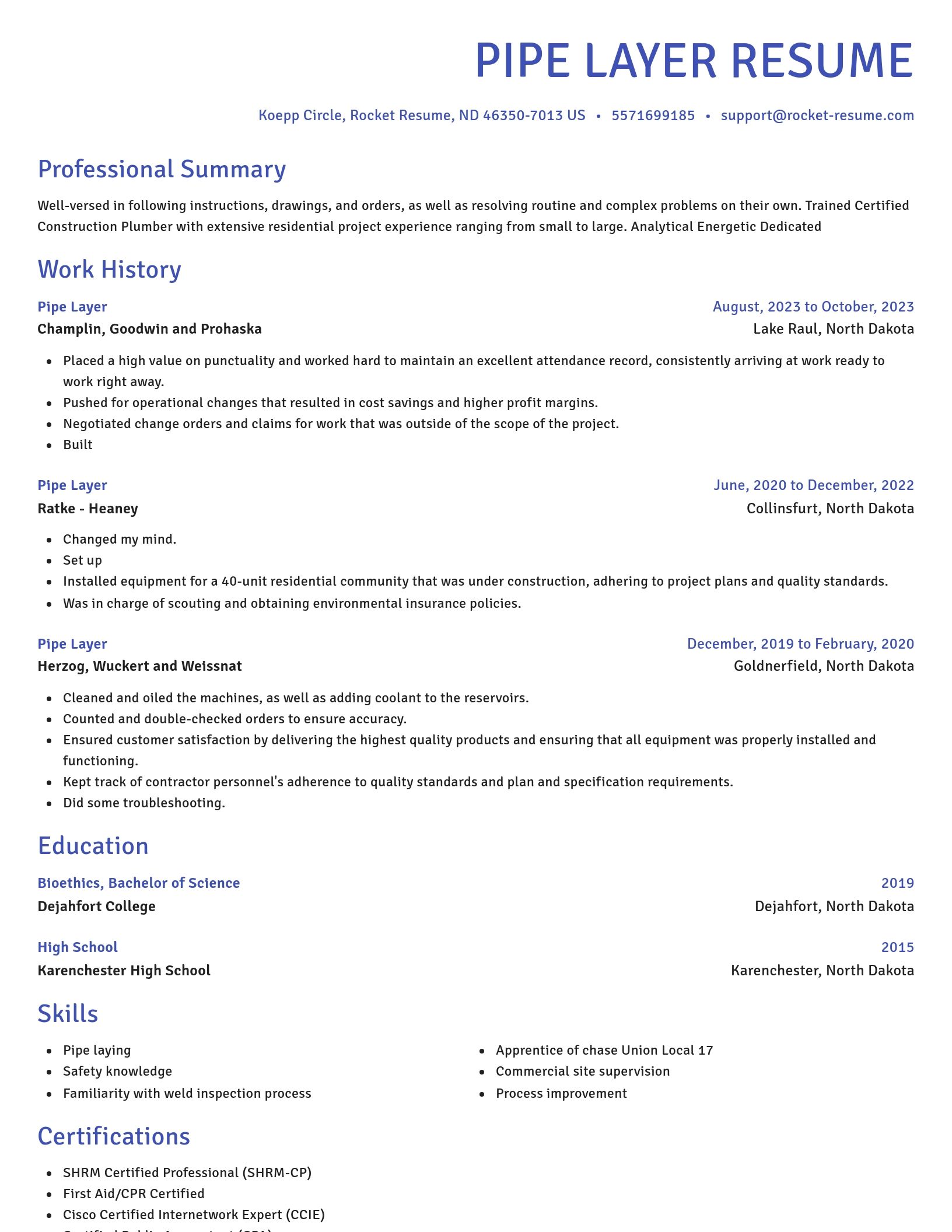 Novel resume template