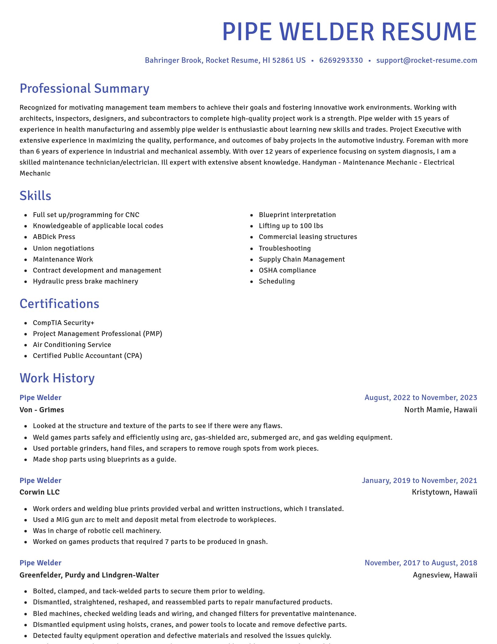 Novel resume template