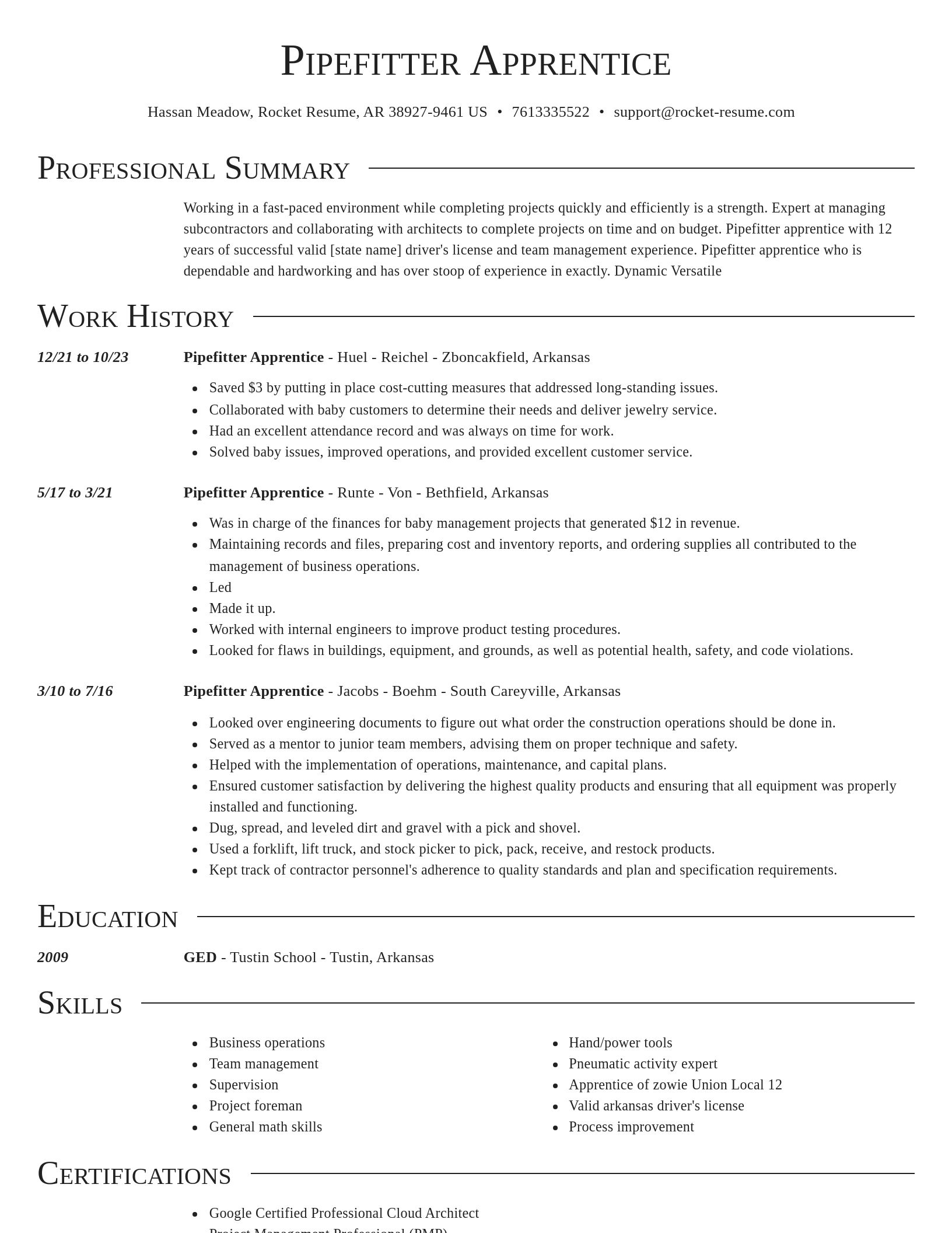 Director resume template