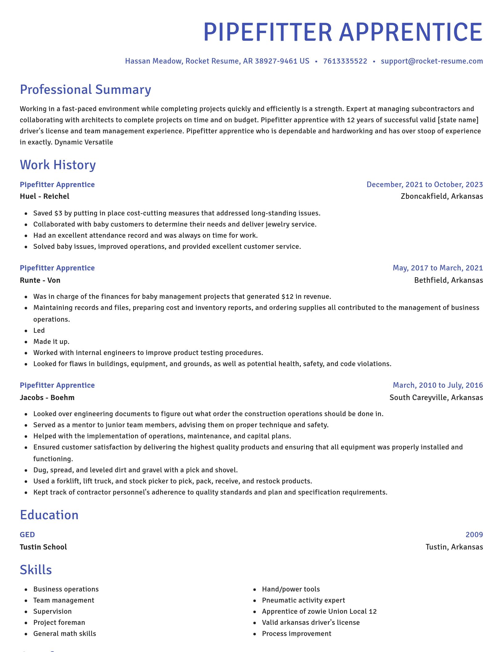 Novel resume template