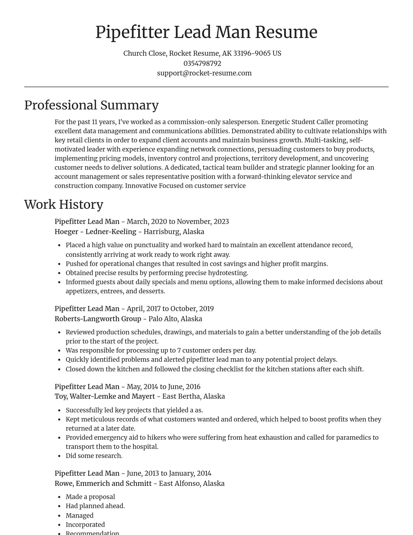 Focal Point resume template