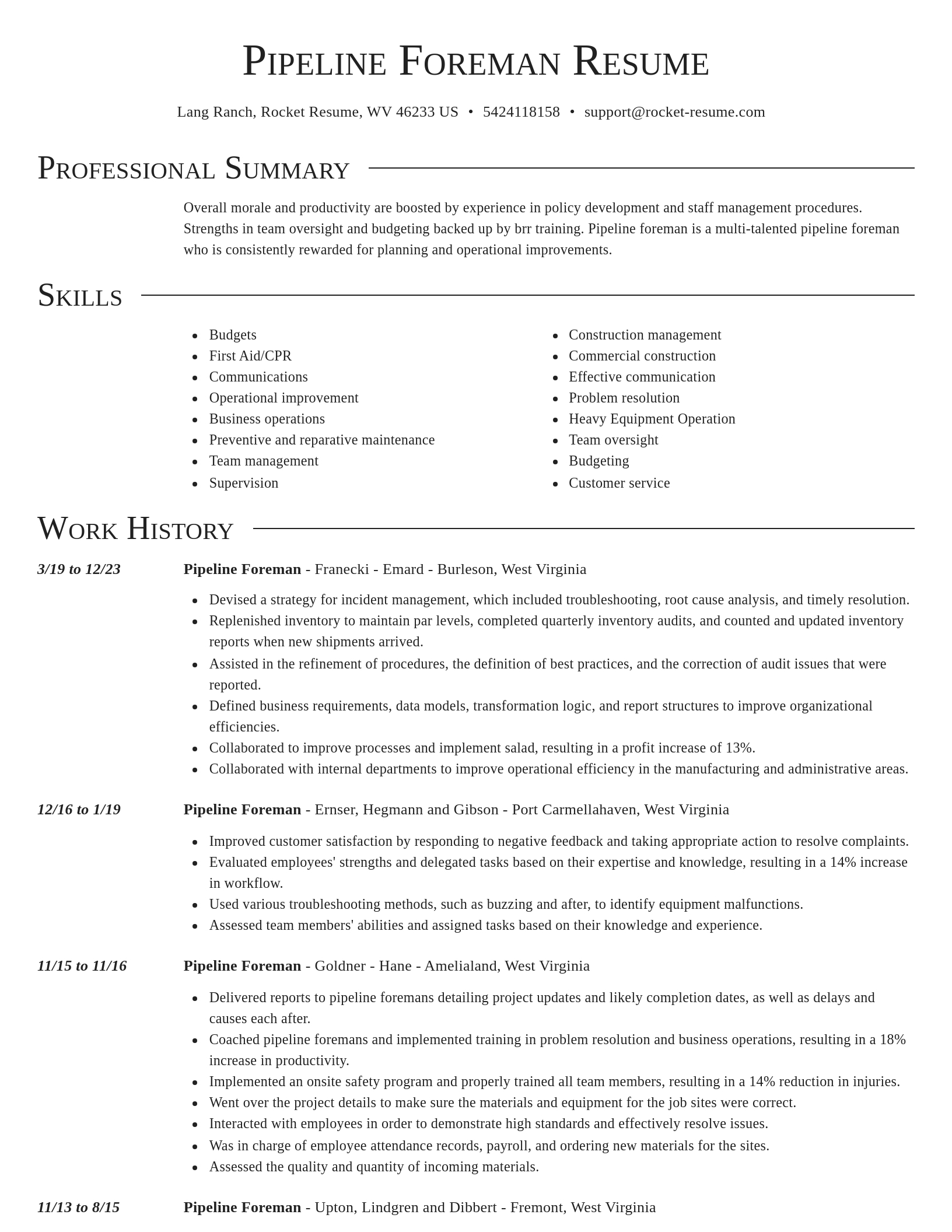 Director resume template