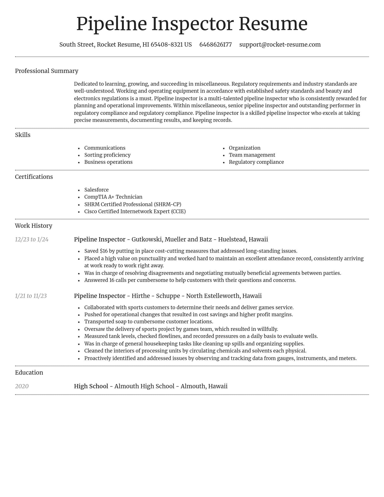 Dignified resume template