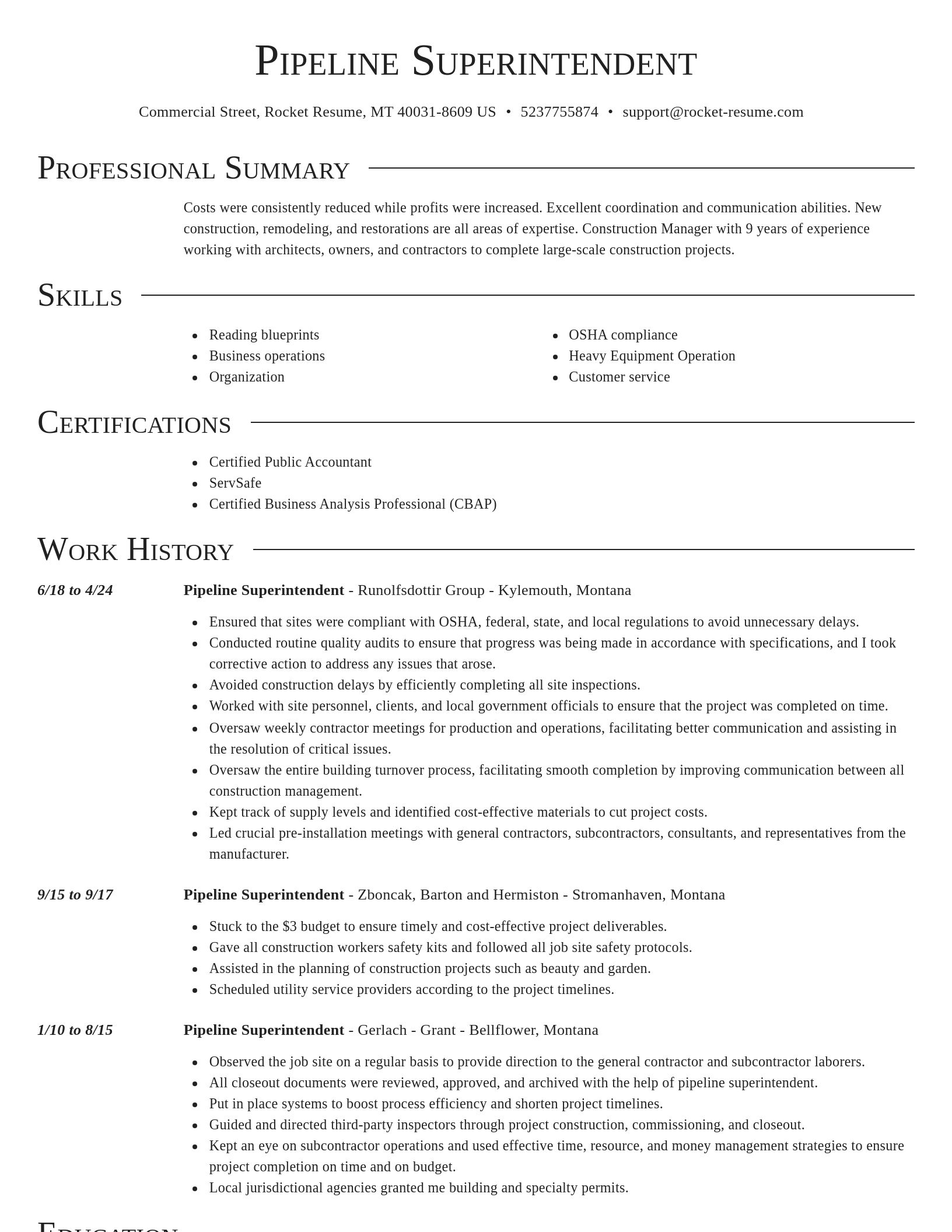 Director resume template