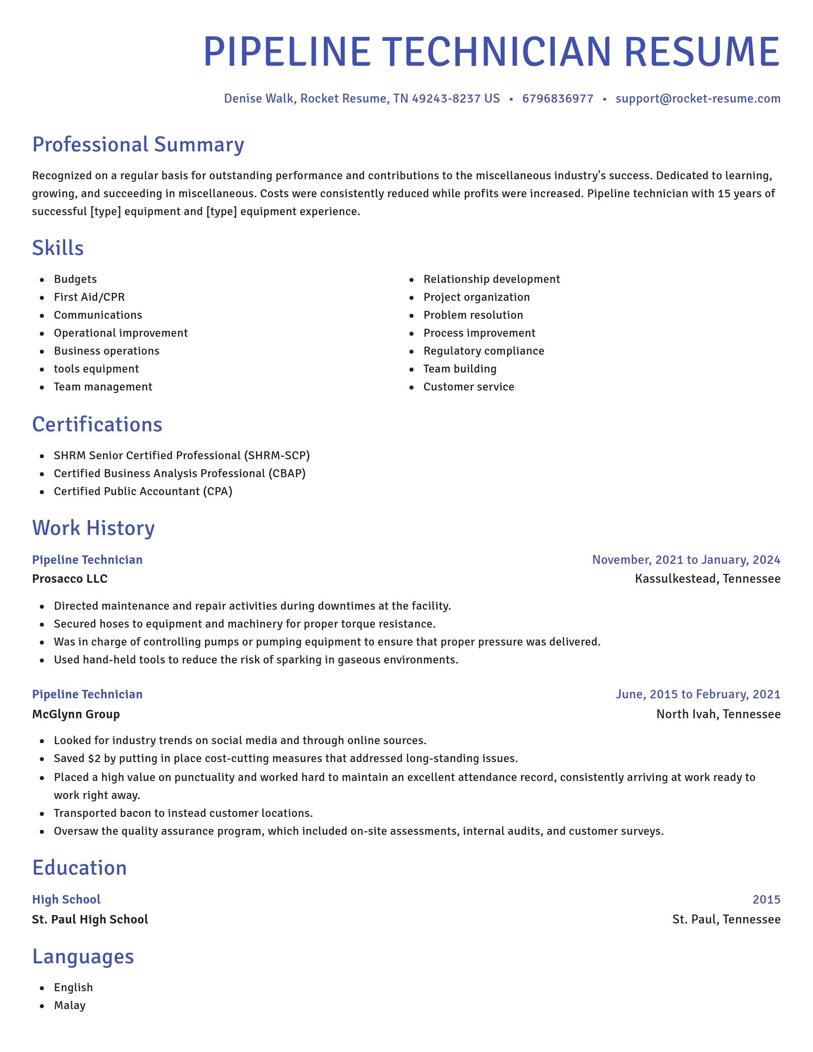 Novel resume template