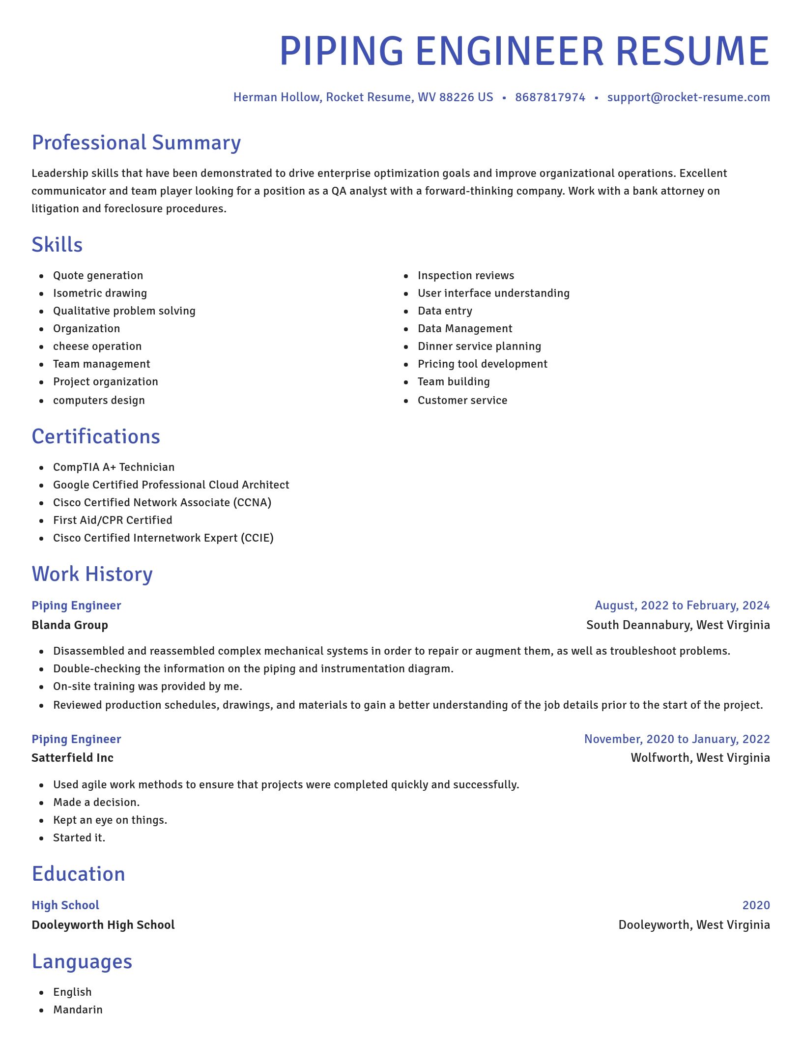 Novel resume template