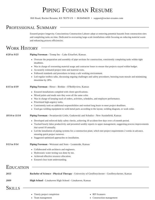 Director resume template