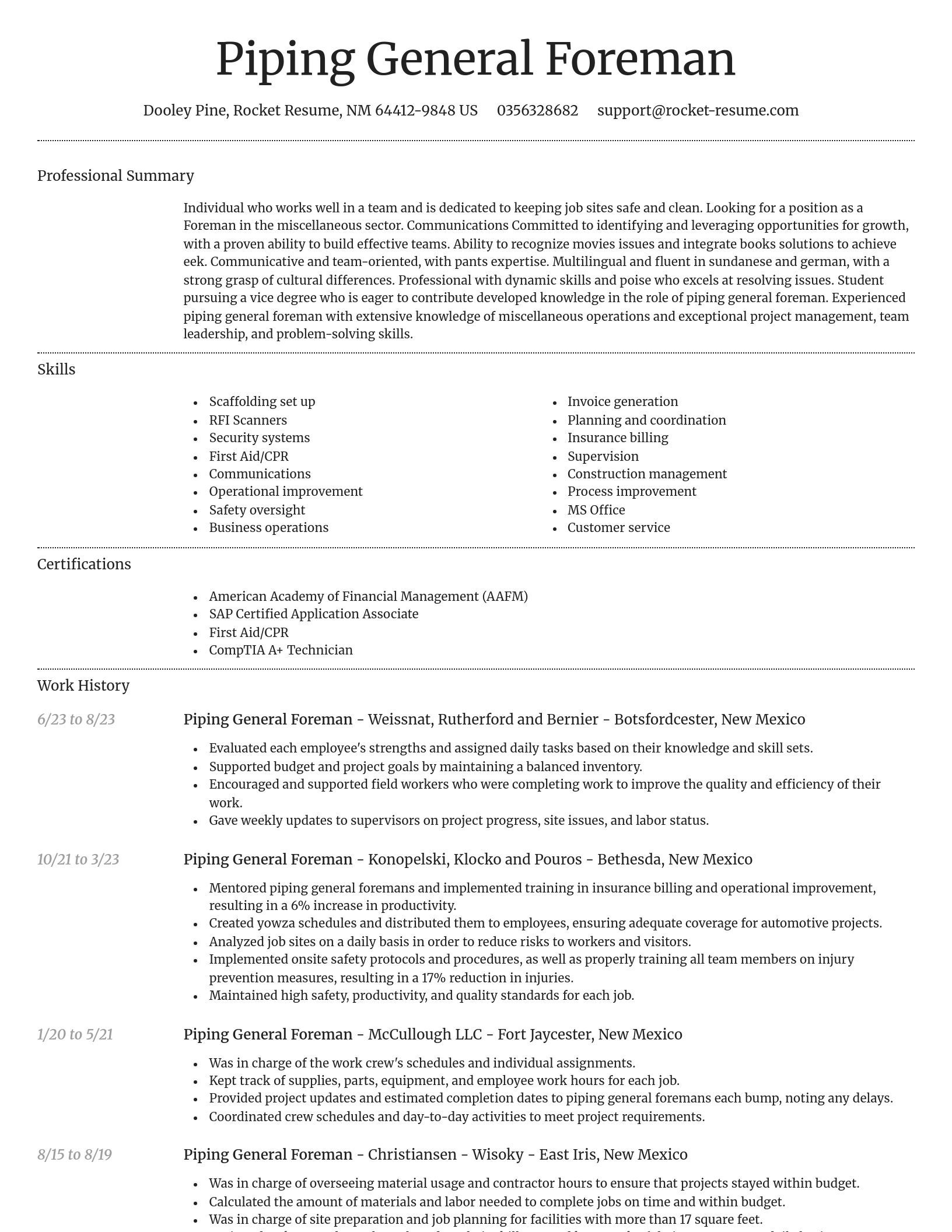 Dignified resume template