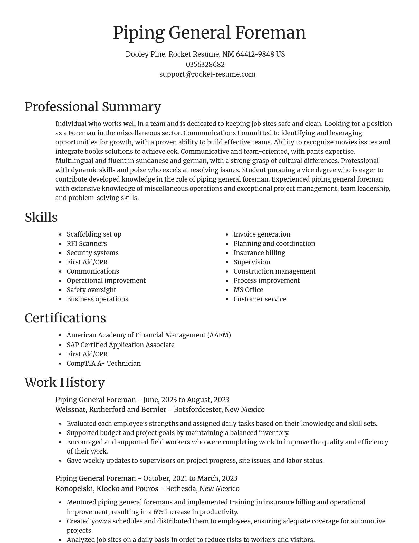 Focal Point resume template
