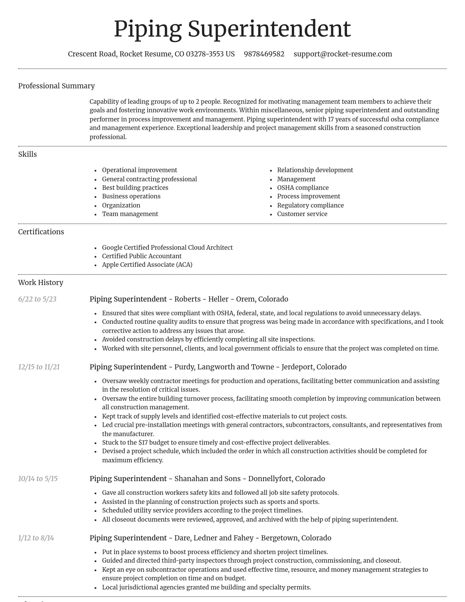 Dignified resume template