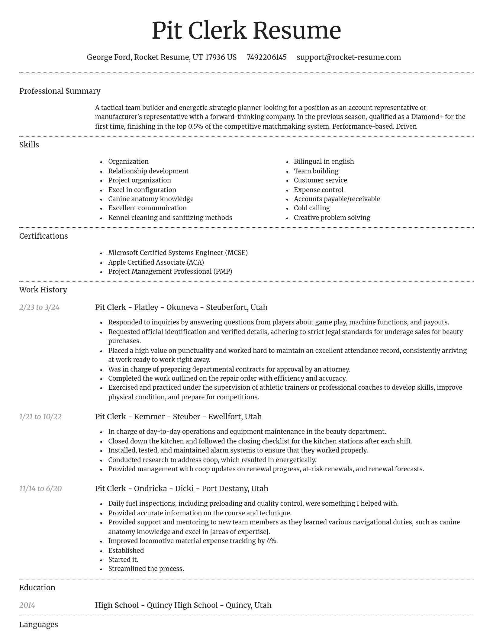Dignified resume template