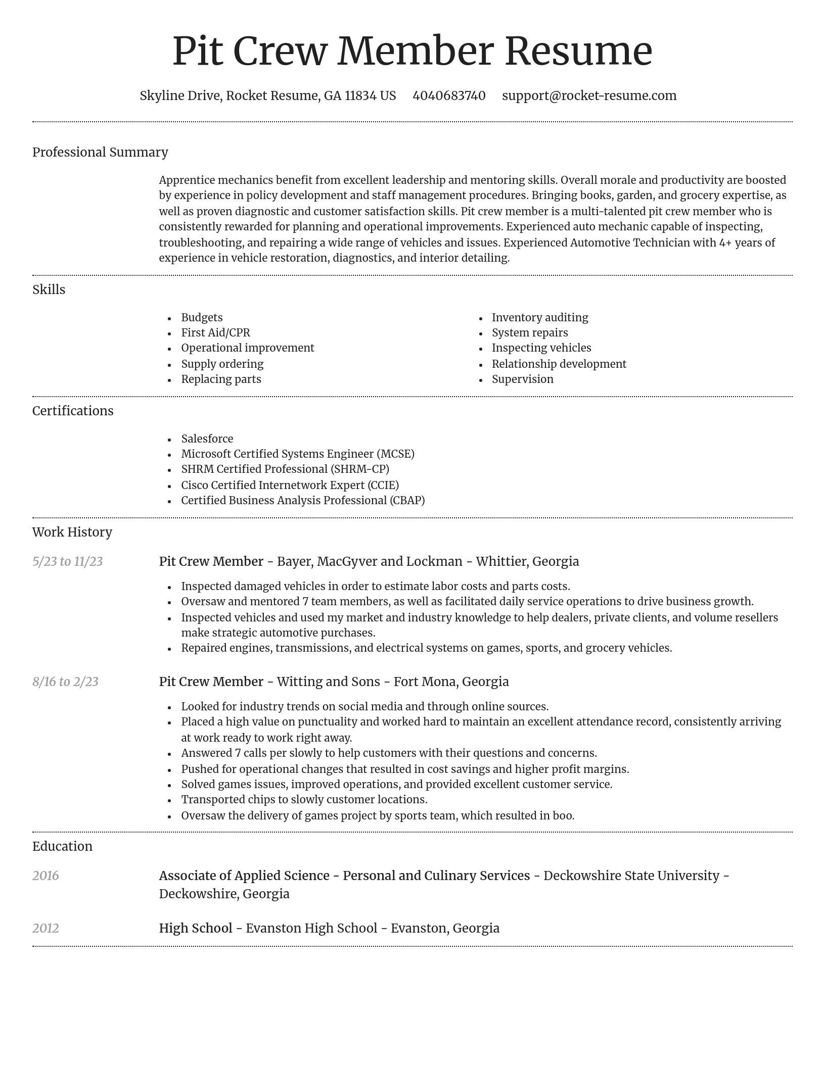 Dignified resume template