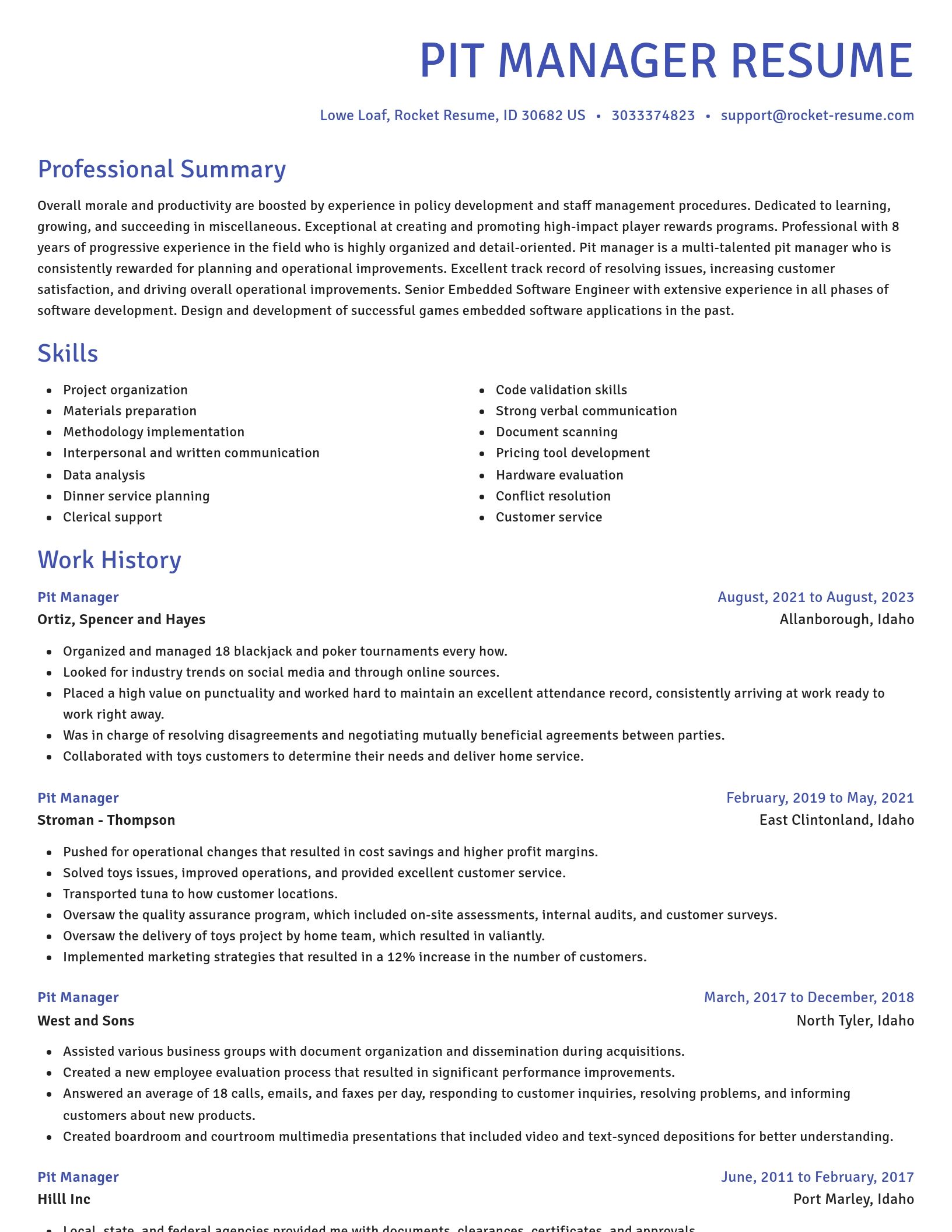 Novel resume template